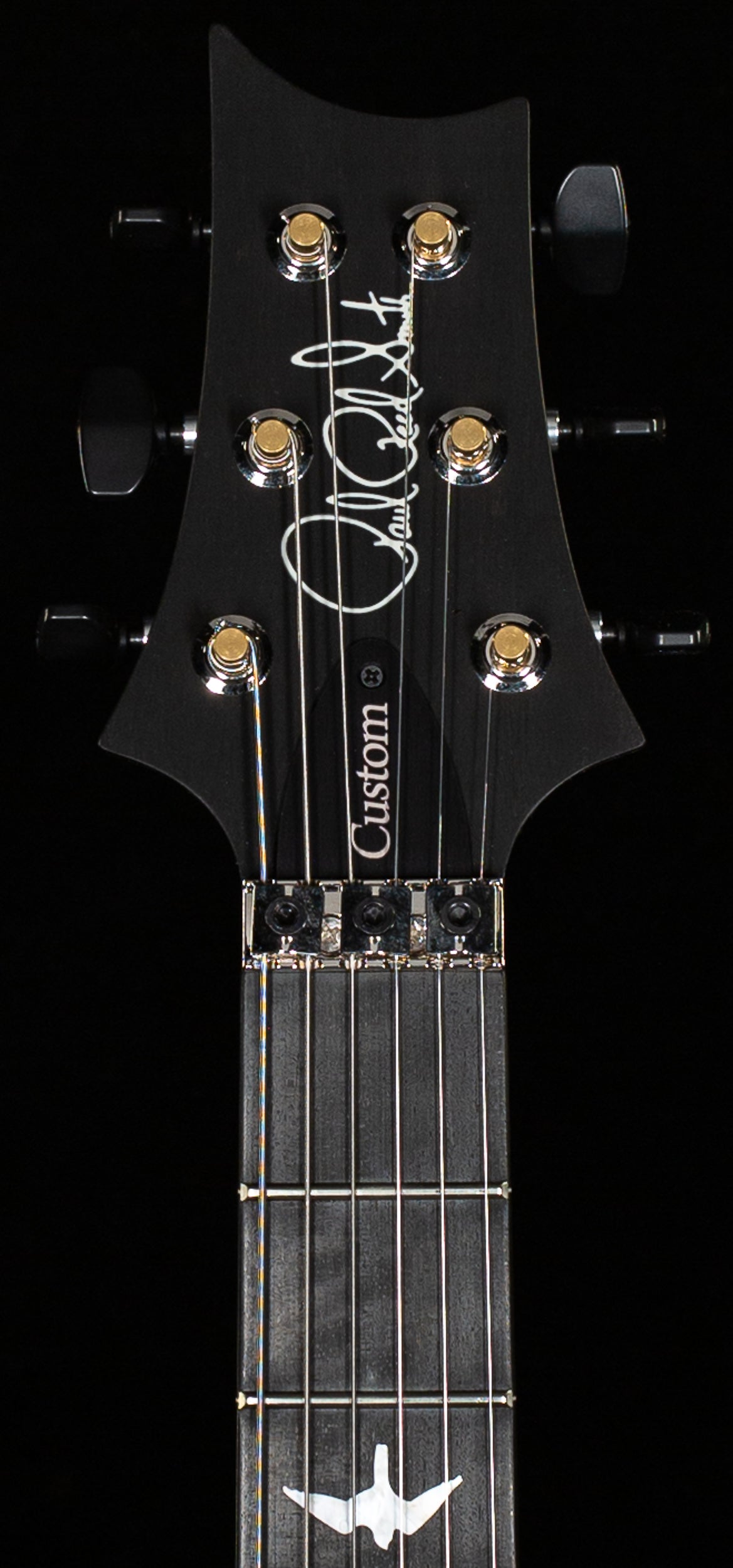 PRS Wood Library Custom 24 Floyd Autumn Sky 10 Top (431)