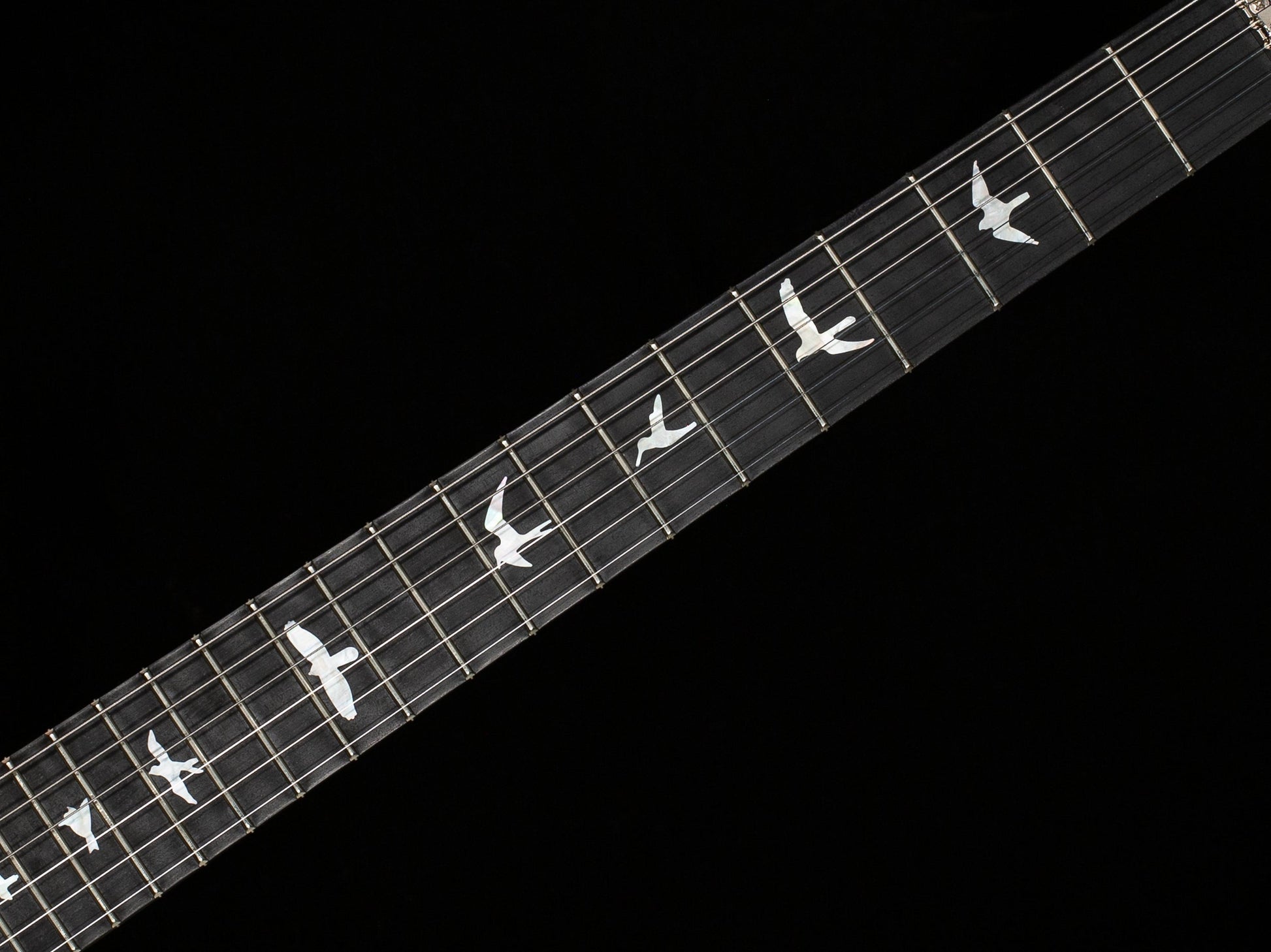 PRS Wood Library Custom 24 Floyd Autumn Sky 10 Top (431)