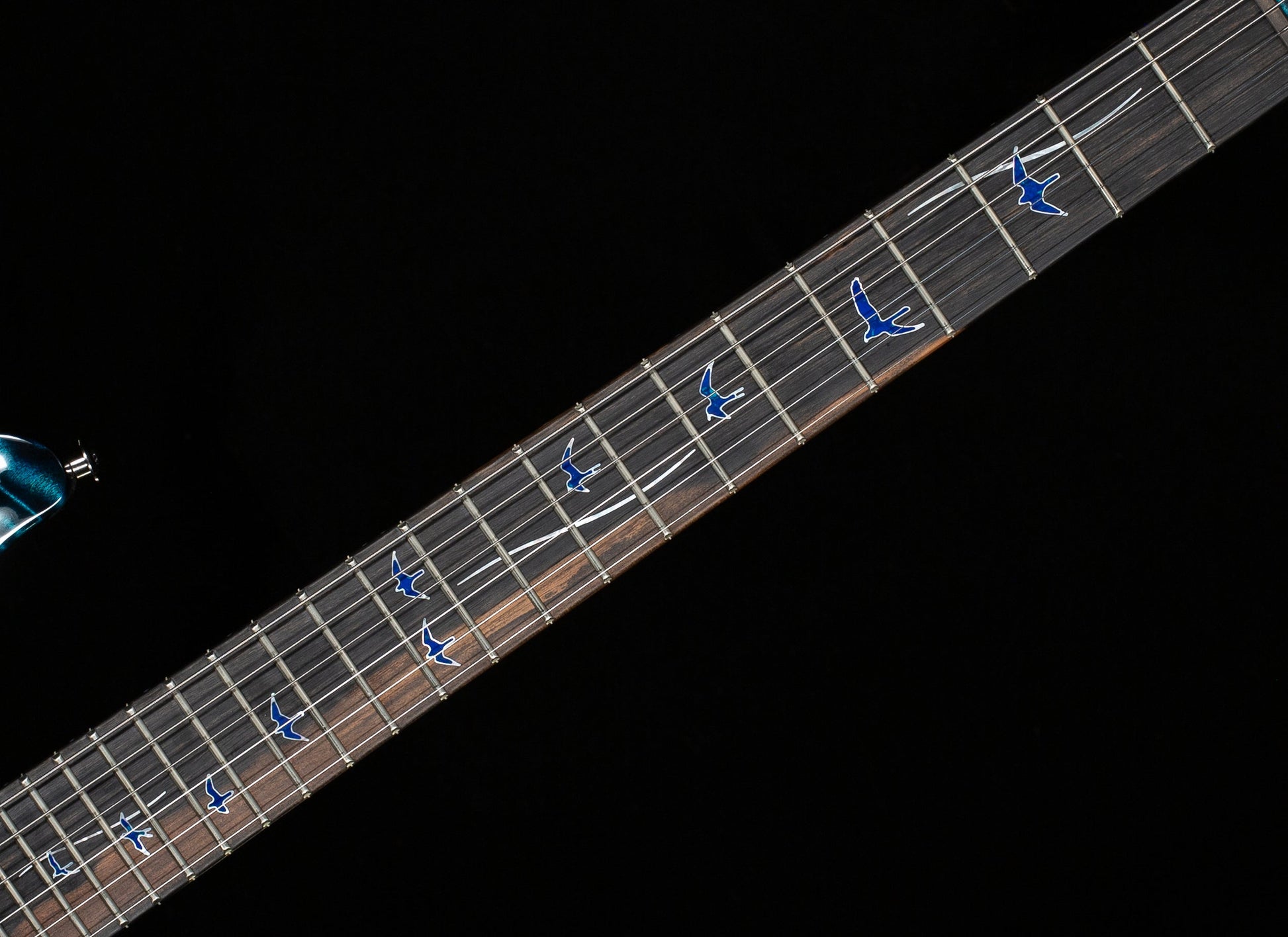 PRS Private Stock 11416 Custom 24-08 Sub-Zero Glow (780)