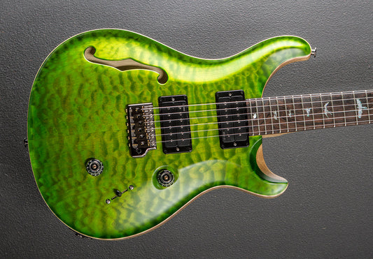 Custom 24 Semi-Hollow Wood Library Limited - Eriza Verde w/Korina