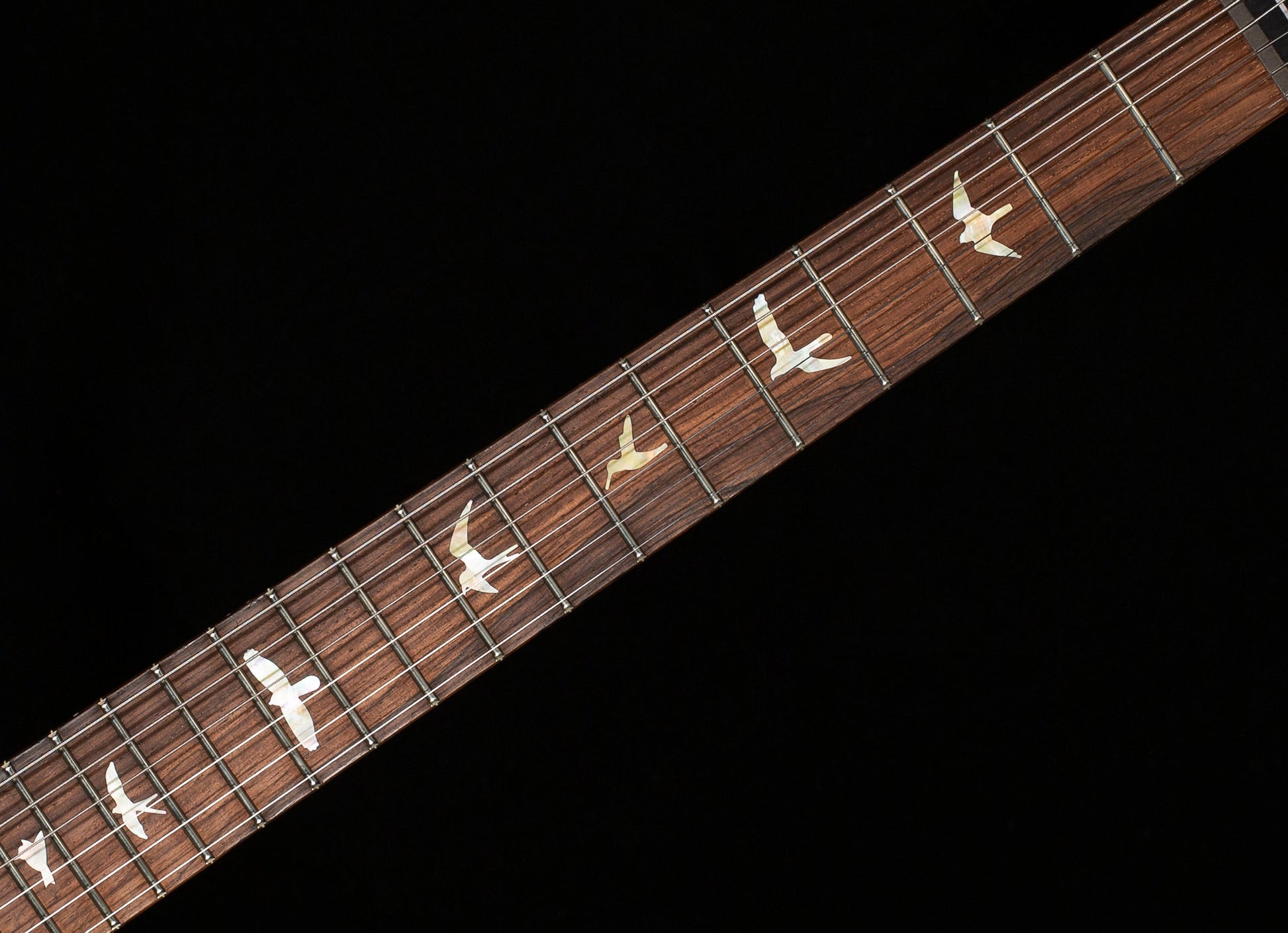 PRS Wood Library Willcutt Exclusive DGT Korina Neck Charcoal 10 Top (278)