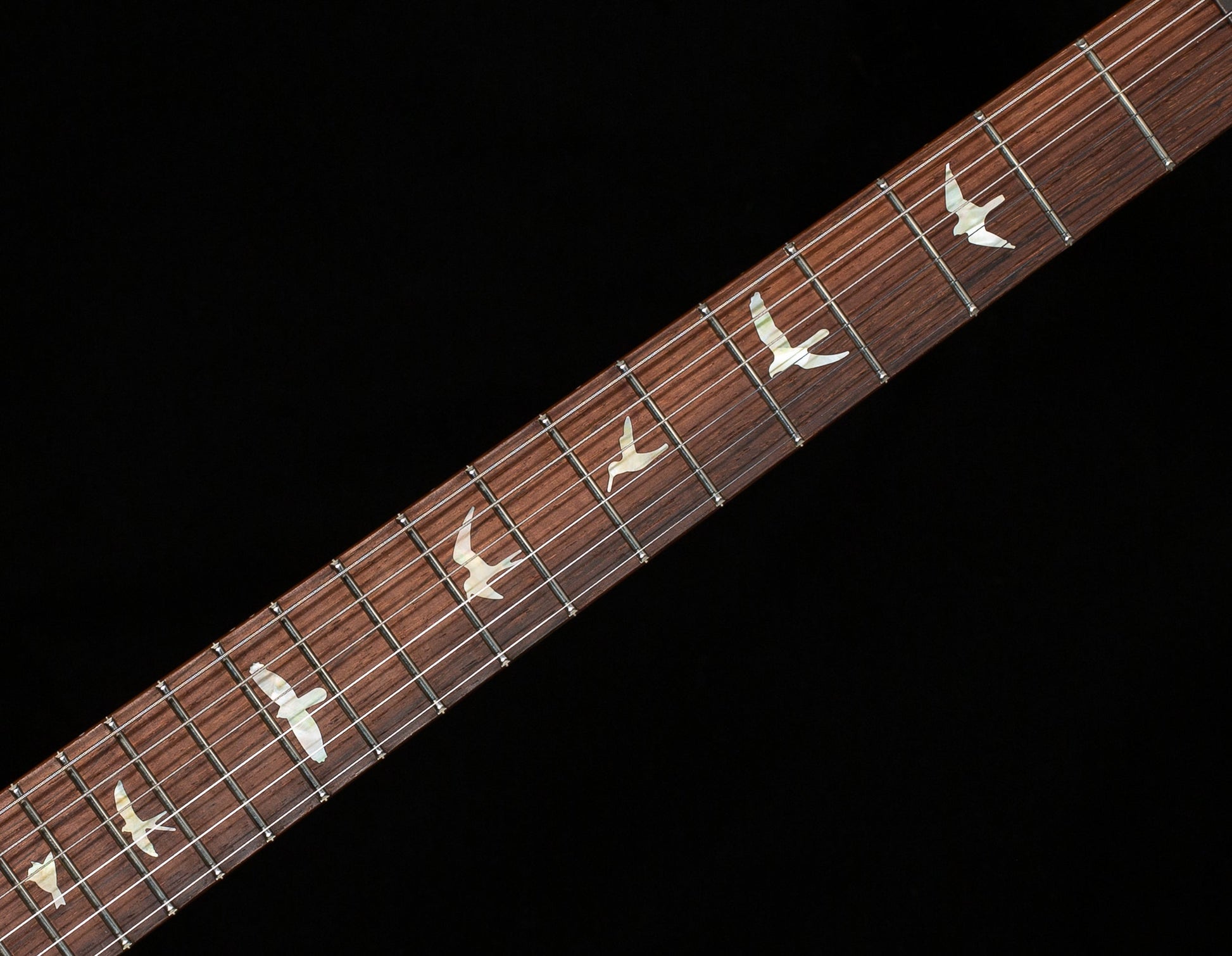 PRS Wood Library Willcutt Exclusive DGT Korina Neck Aquableux 10 Top (927)