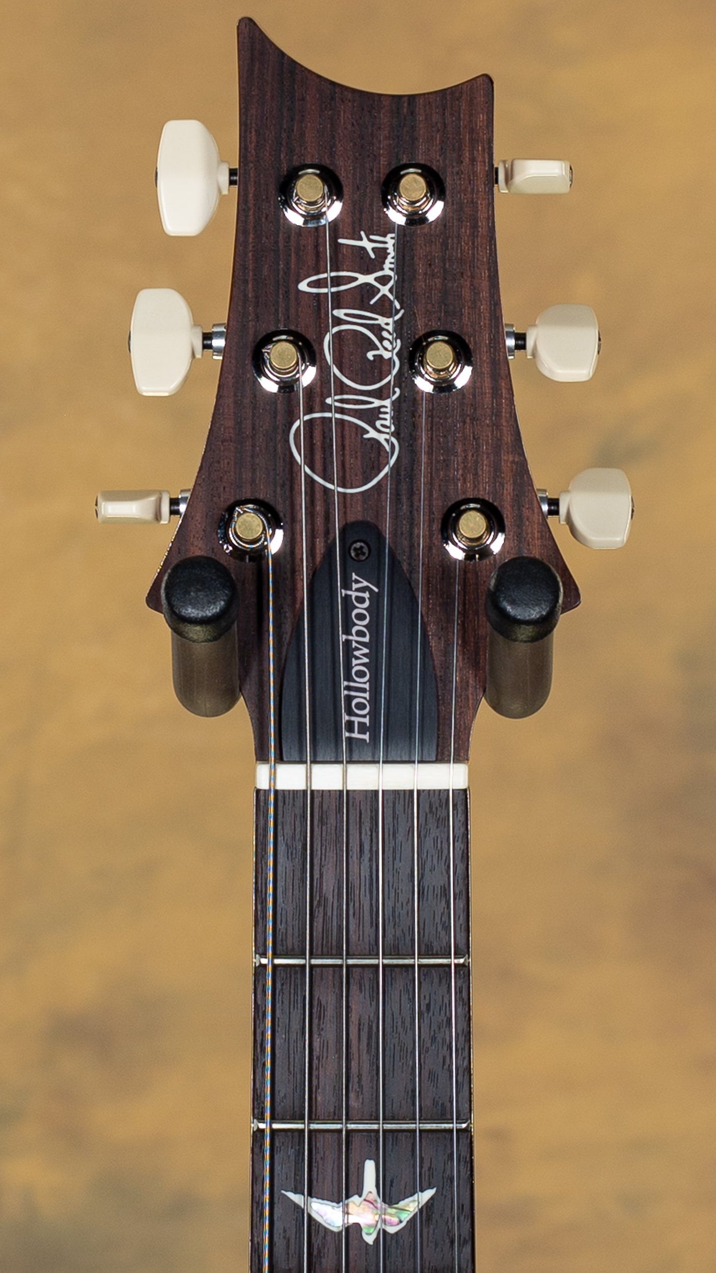2025 PRS Hollowbody II Piezo Aurora Borealis
