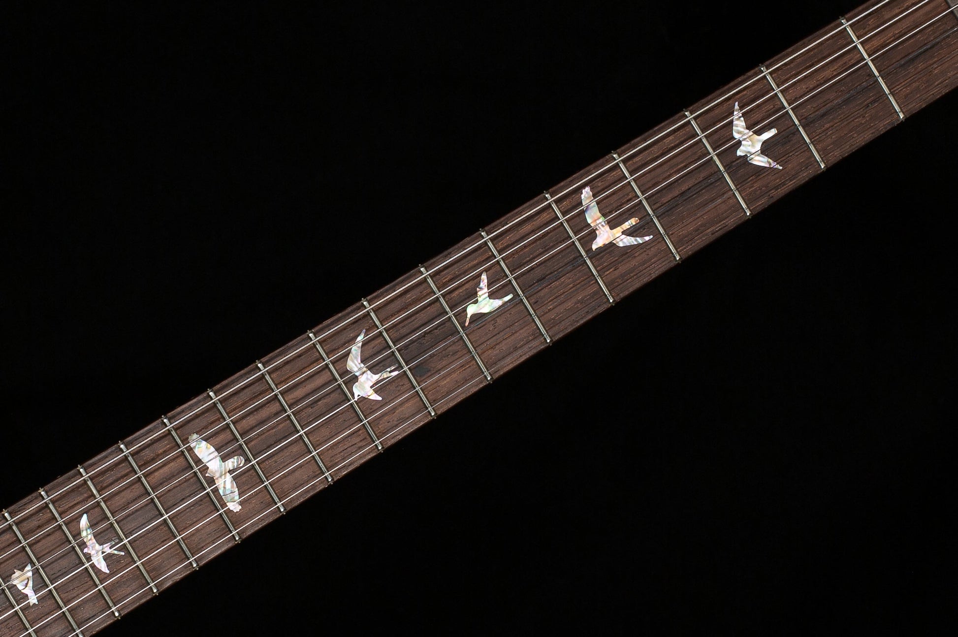 PRS Wood Library Willcutt Exclusive Special Semi-Hollow Trampas Green Fade 10 Top (928)