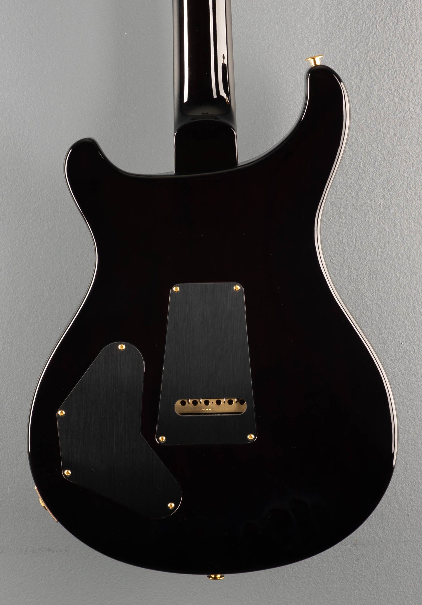 DGT (David Grissom Trem) 10 Top w/Birds - Black Gold Burst