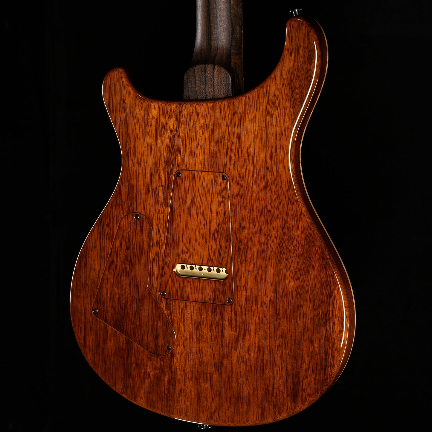 PRS Private Stock 12256 Custom 24 Aqua Violet (207)
