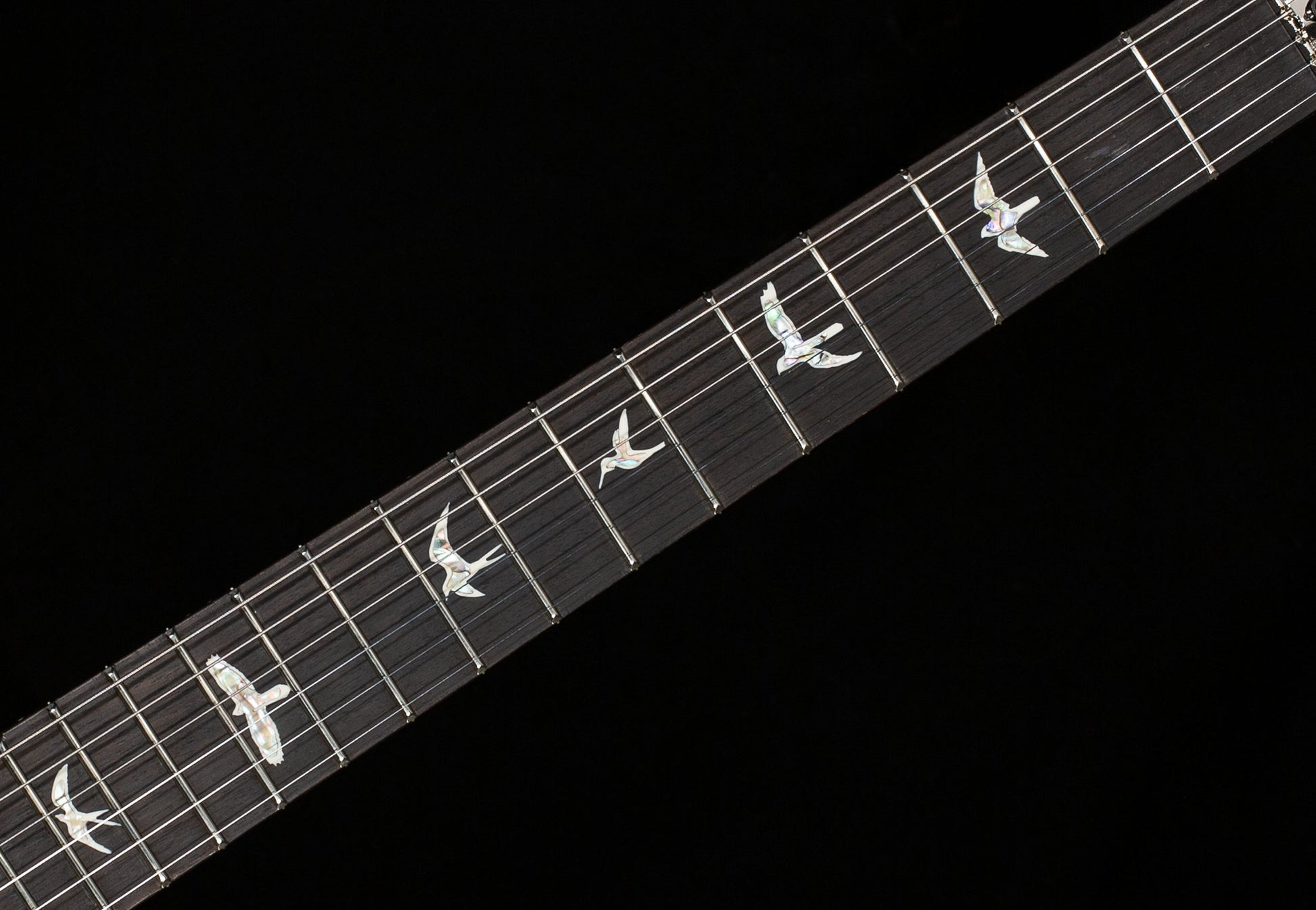 PRS Custom 24 Floyd Tiger Eye (058)