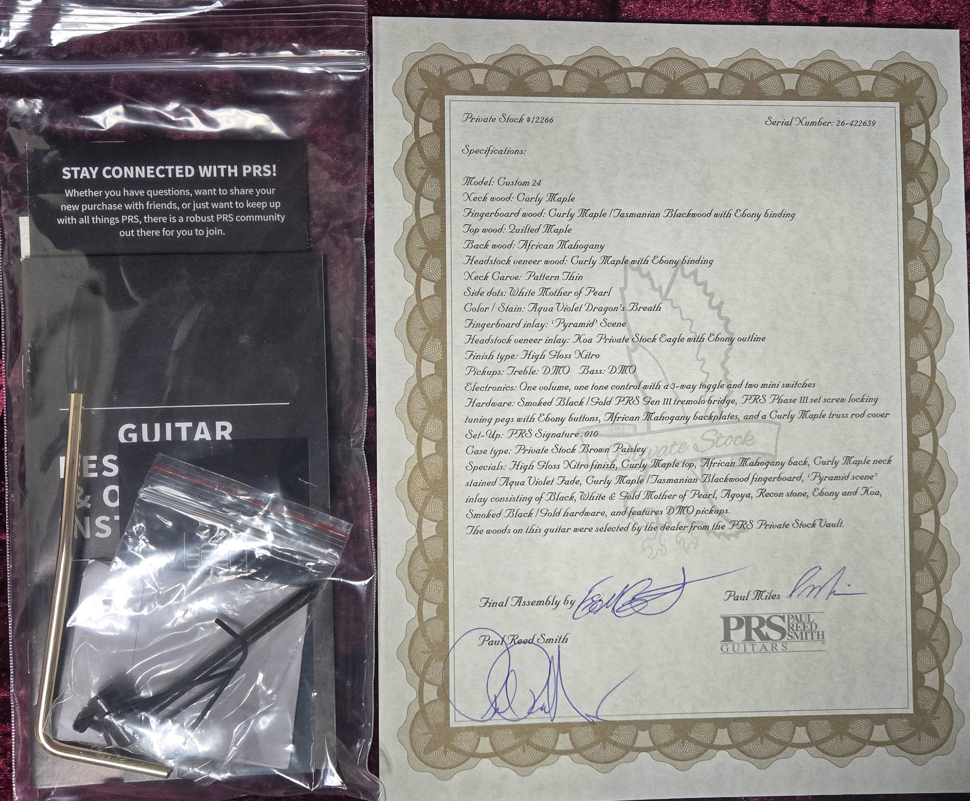 PRS Private Stock 12266 Custom 24 Aqua Violet Dragon's Breath Pyramid Inlay (659)