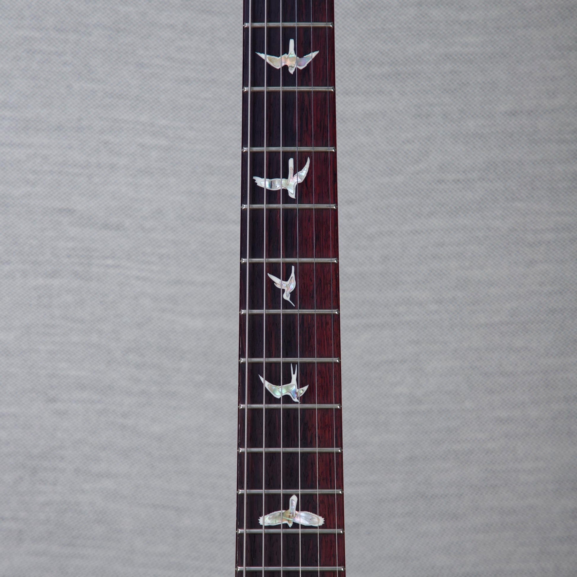 PRS Custom 24 Piezo 10-Top Solid Body Guitar - Aurora Borealis - #250403191