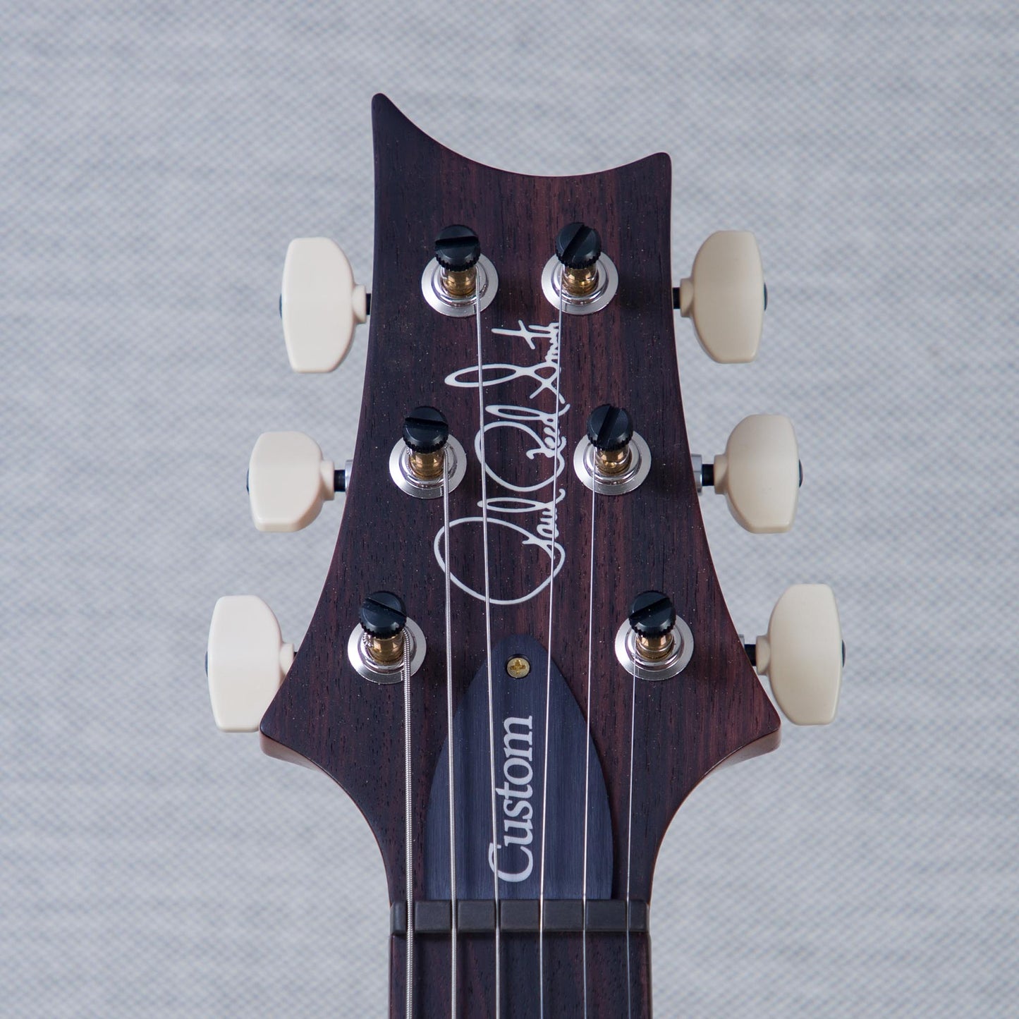 PRS Custom 24 10-Top Solid Body Electric Guitar - Aurora Borealis - #0410980