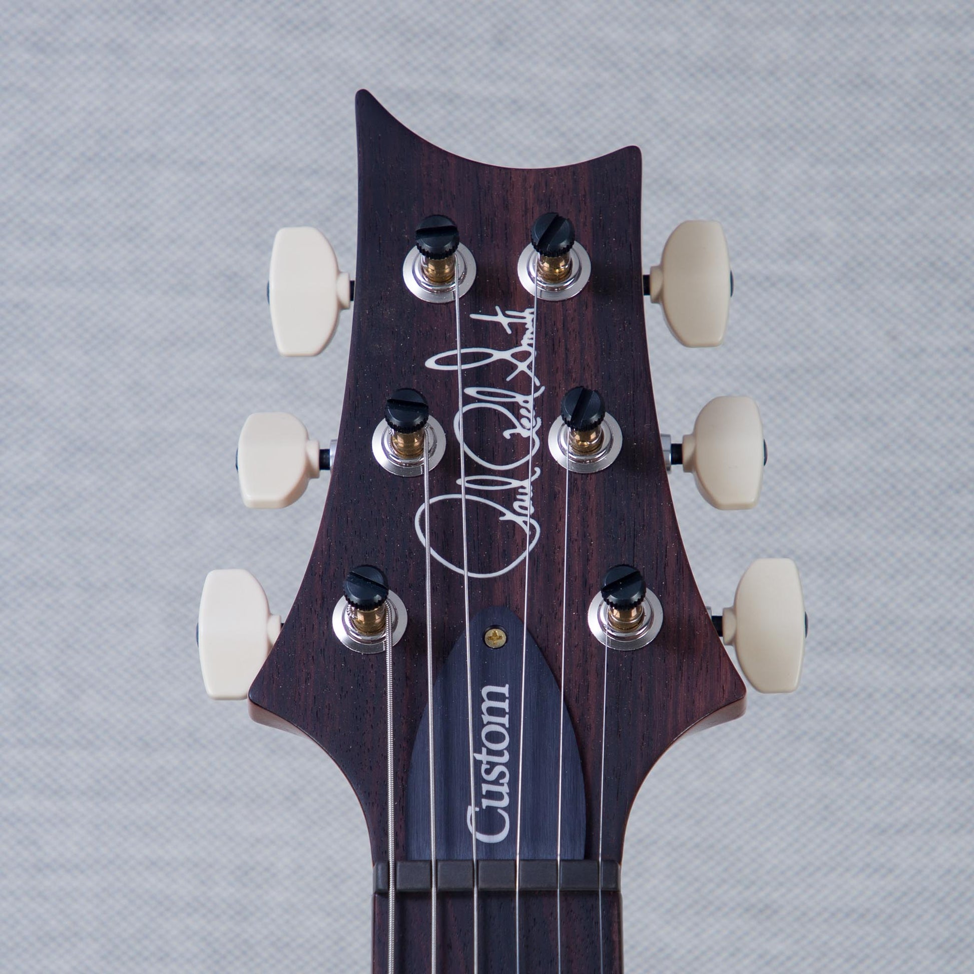 PRS Custom 24 10-Top Solid Body Electric Guitar - Aurora Borealis - #0410980