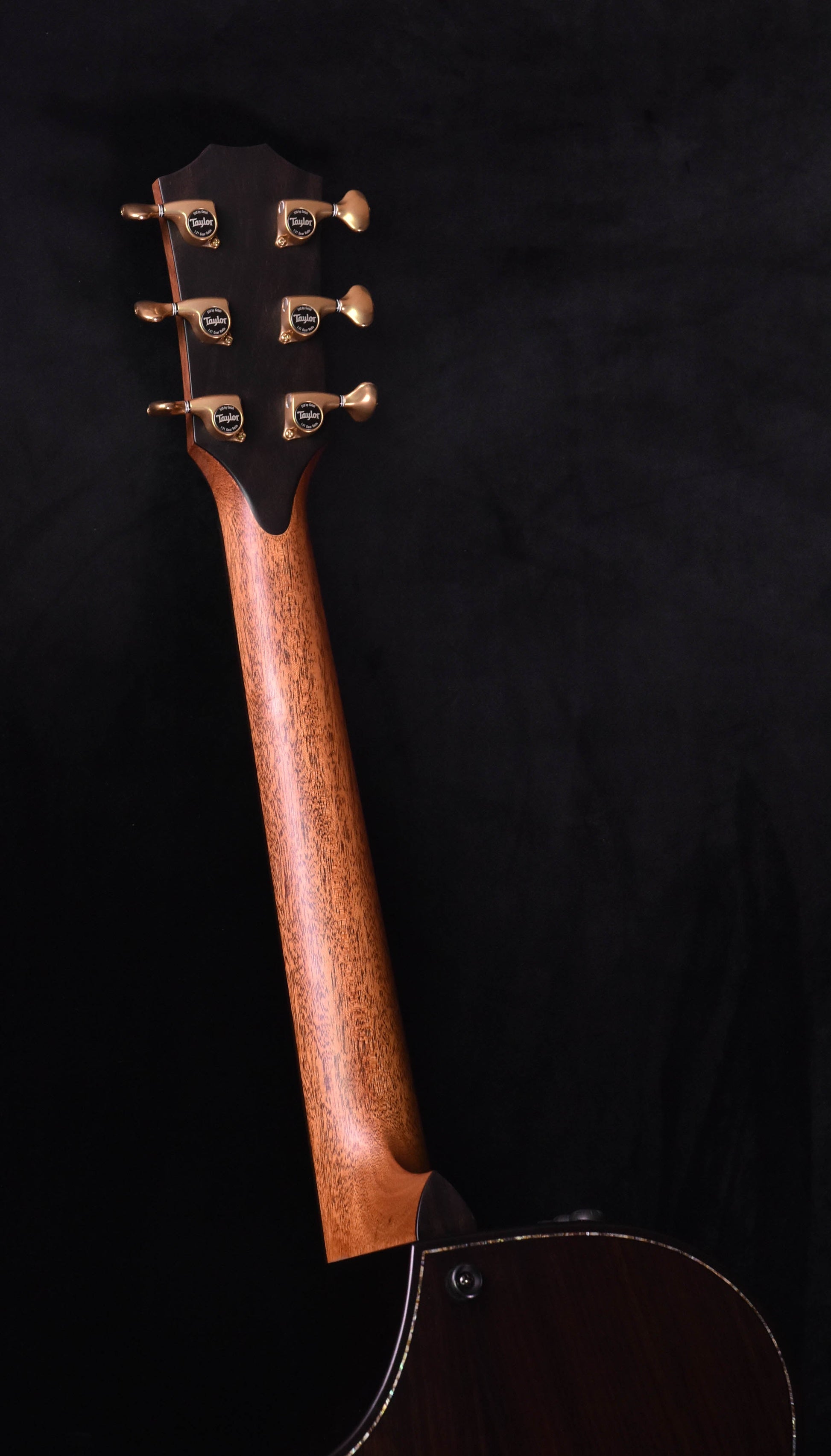 Taylor 912CE Builder's Edition Natural-  V Class Cutaway Guitar