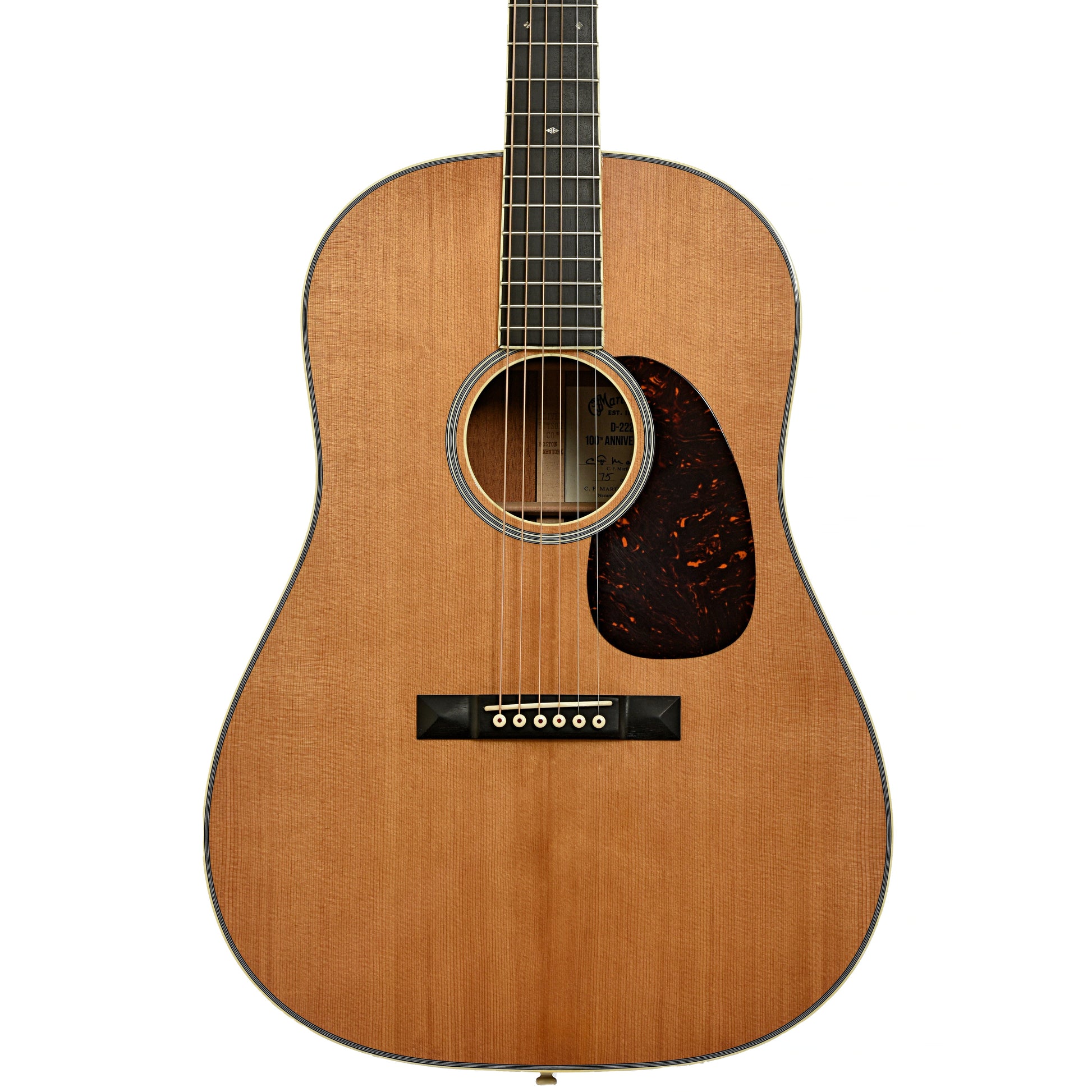 Martin D-222 100th Anniversary Acoustic Guitar (2016)