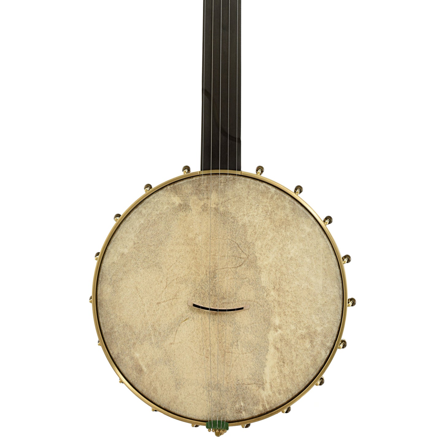 Chuck Lee Hawkins Spring 12in Fretless Openback Banjo, #876