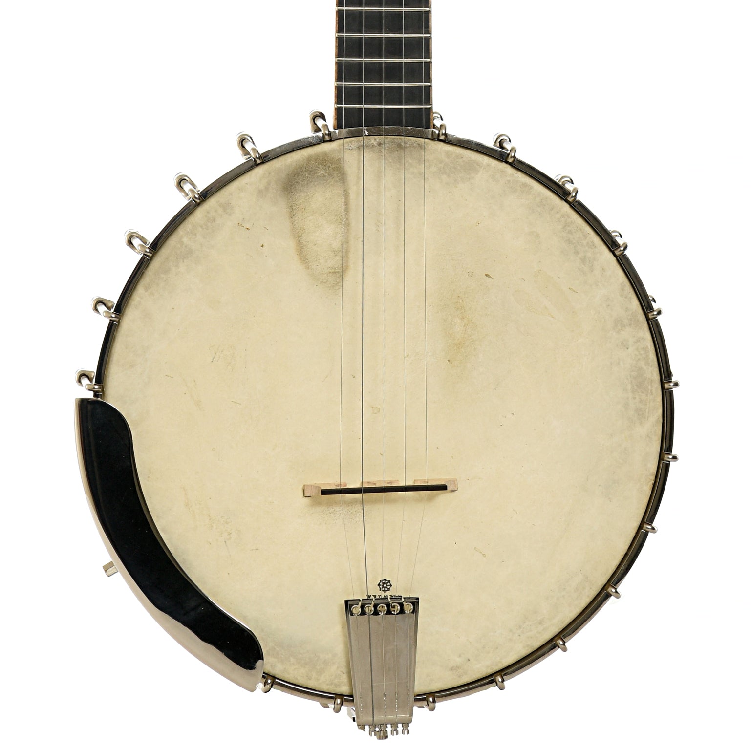 Wildwood Brazilian Custom Dragon Open Back Banjo (2004)