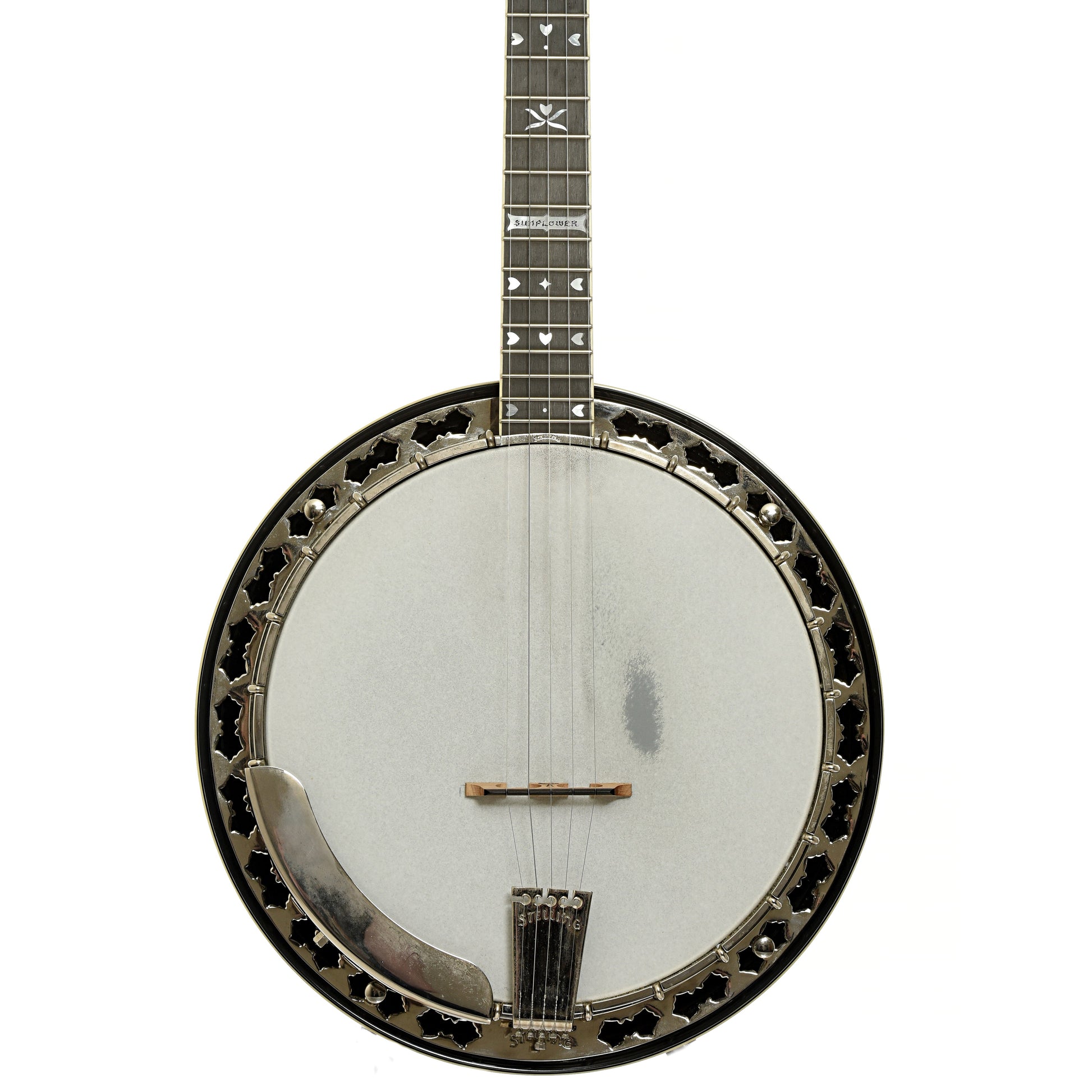 Stelling Sunflower Resonator Banjo (2012)