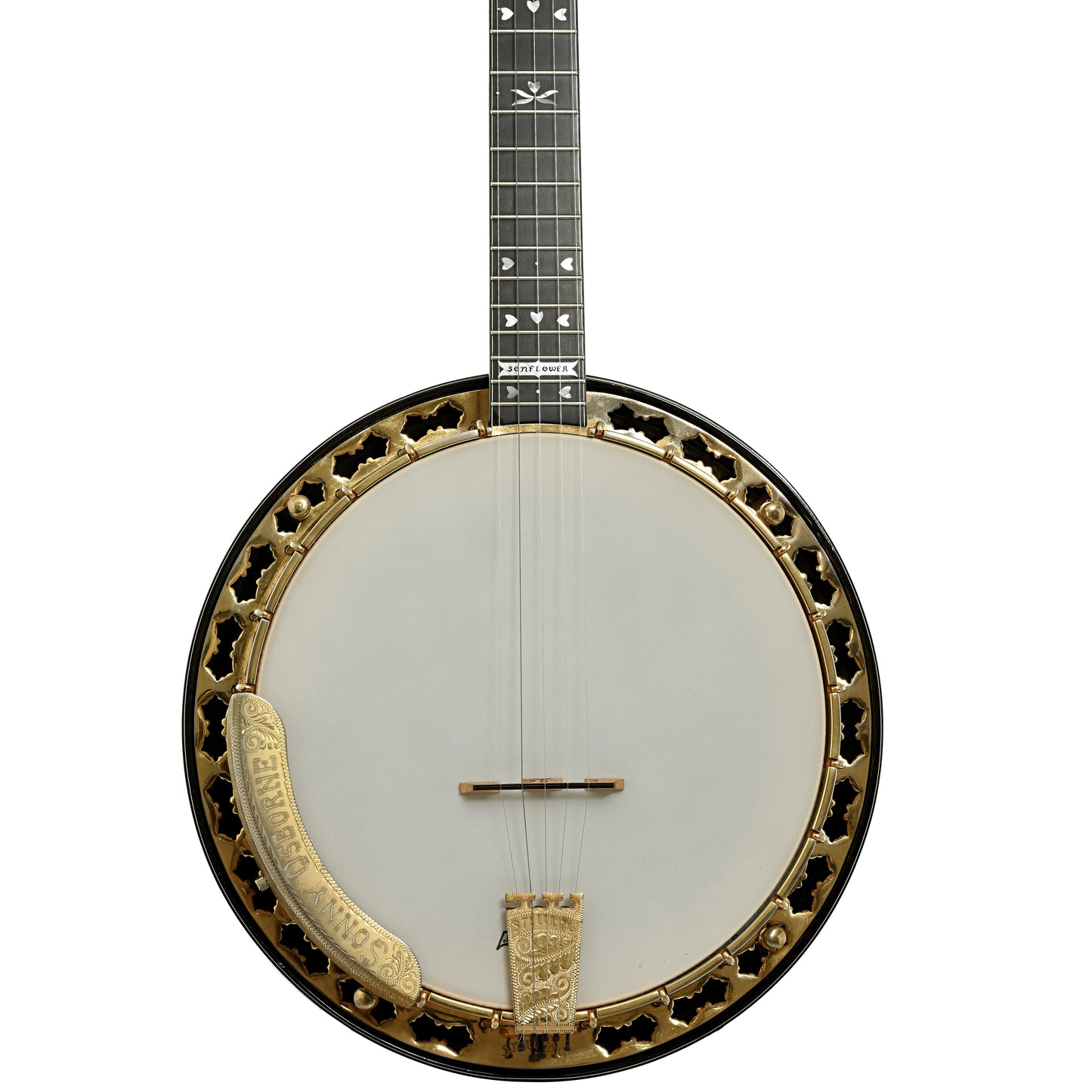 Stelling Sonny Osborne Sonflower Prototype Resonator Banjo (1979)
