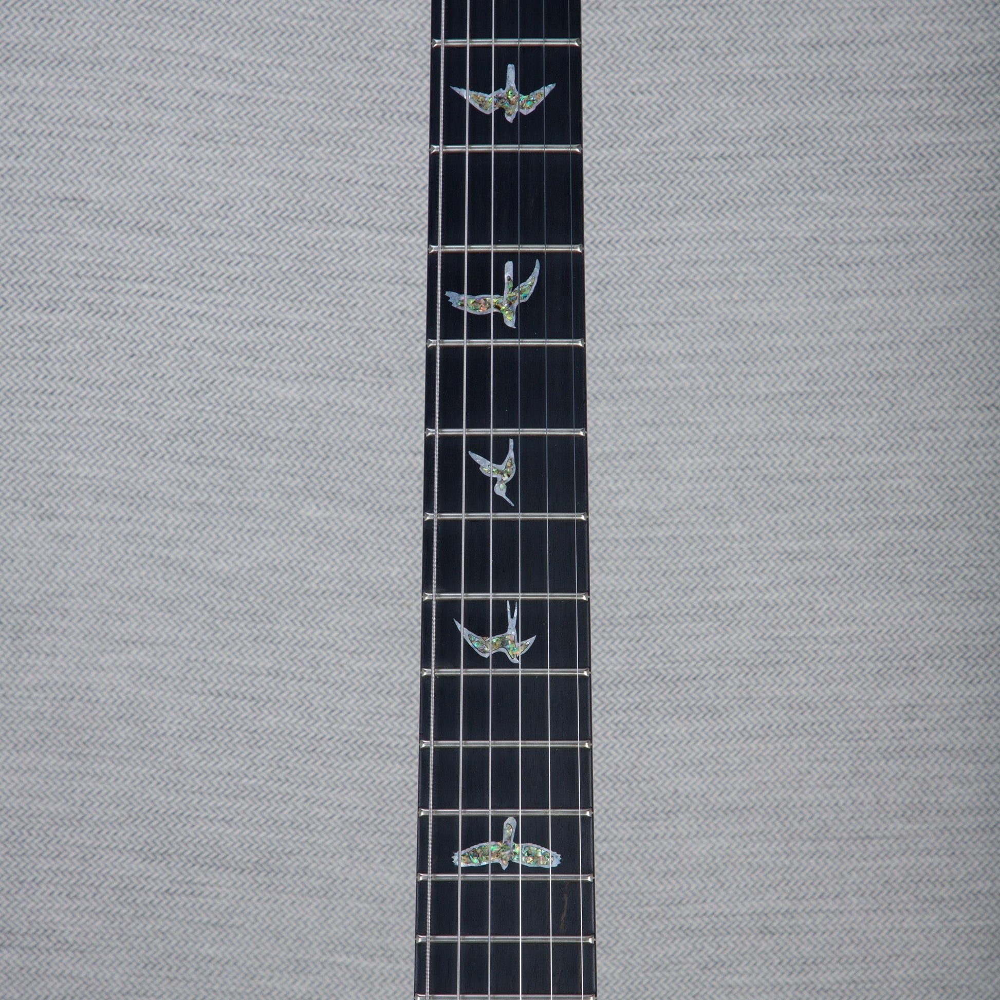 PRS Wood Library Custom 24 Electric Guitar - Private Stock Frostbite Finish - CHUCKSCLUSIVE - #240383981