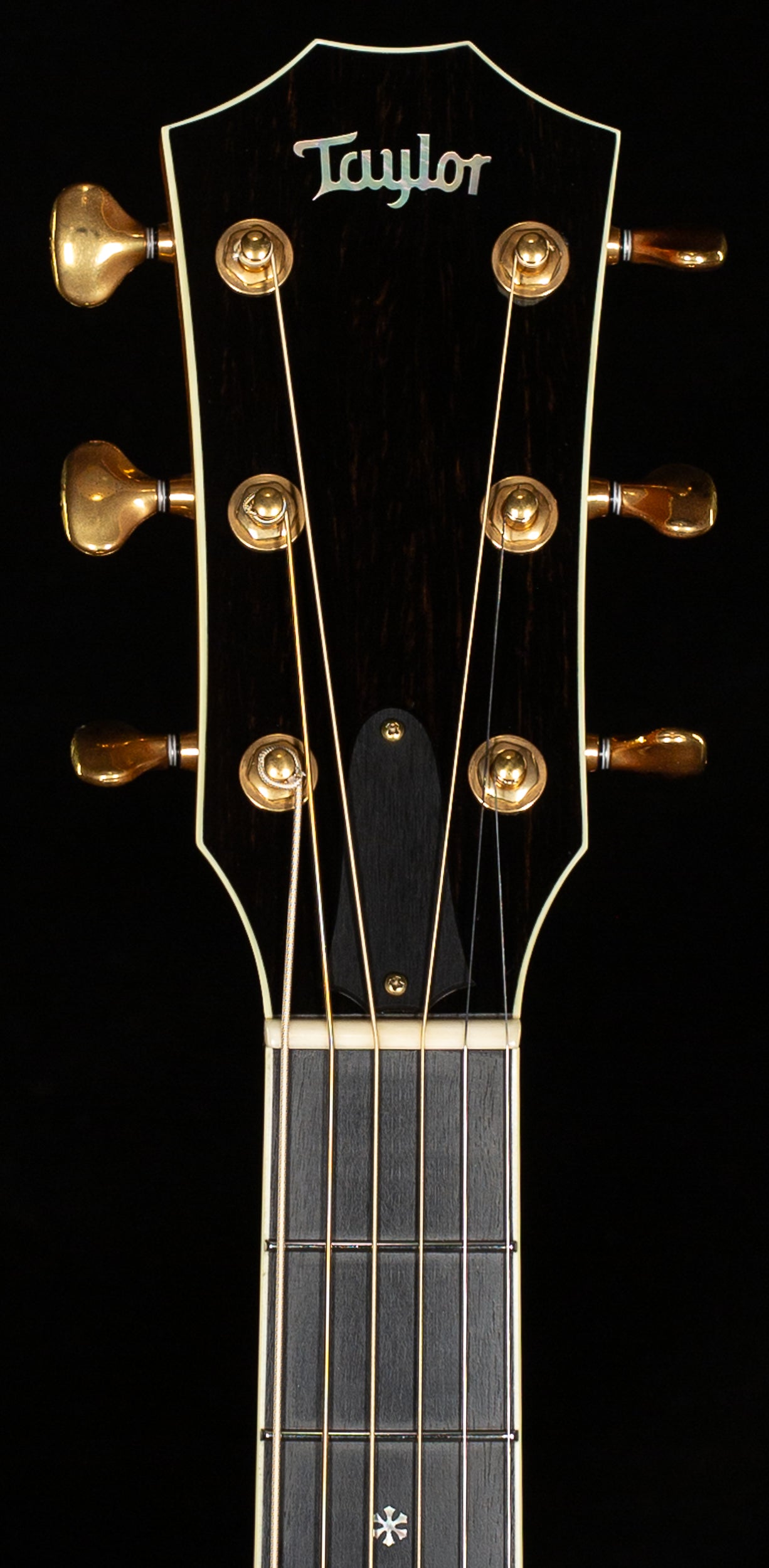 2009 Taylor Custom Grand Symphony