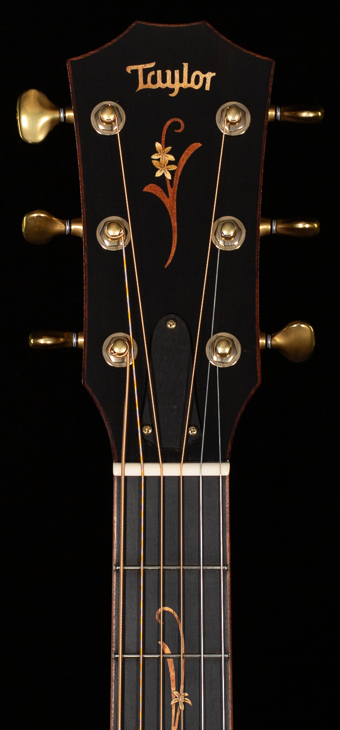 Taylor Willcutt 50th Anniversary K28E