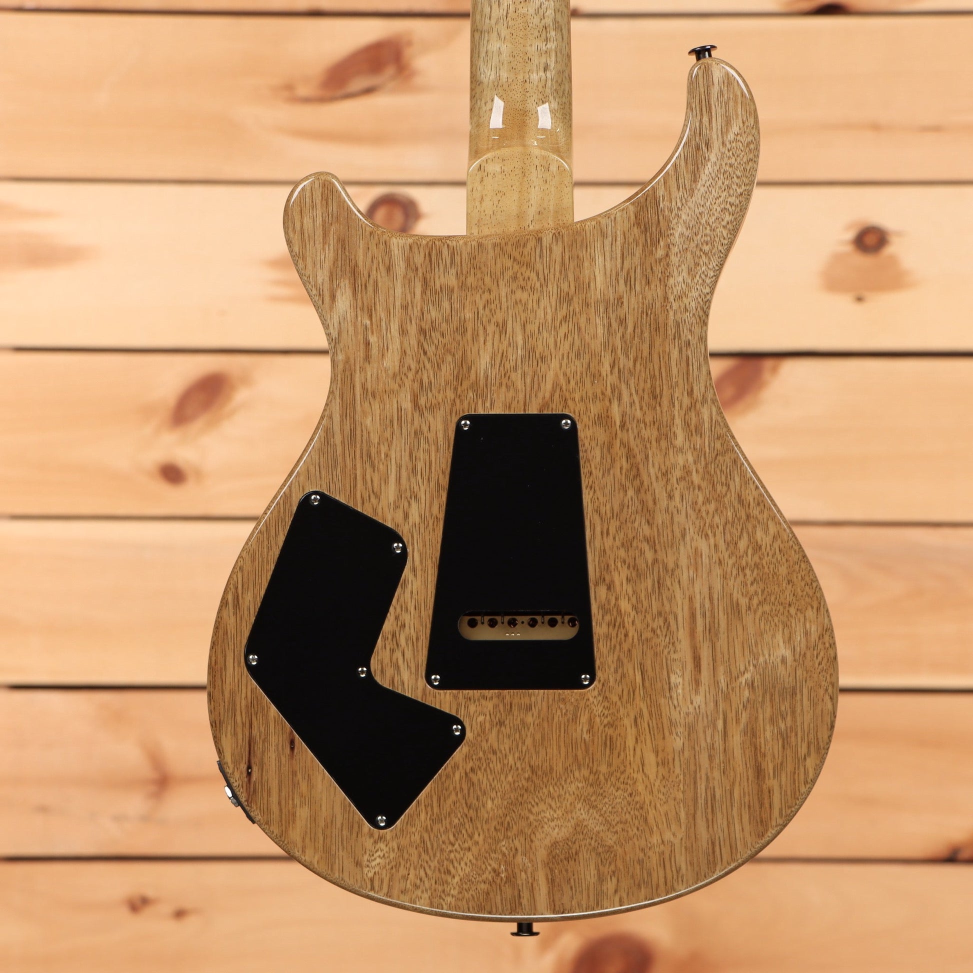Paul Reed Smith Modern Eagle V Wood Library - Charcoal