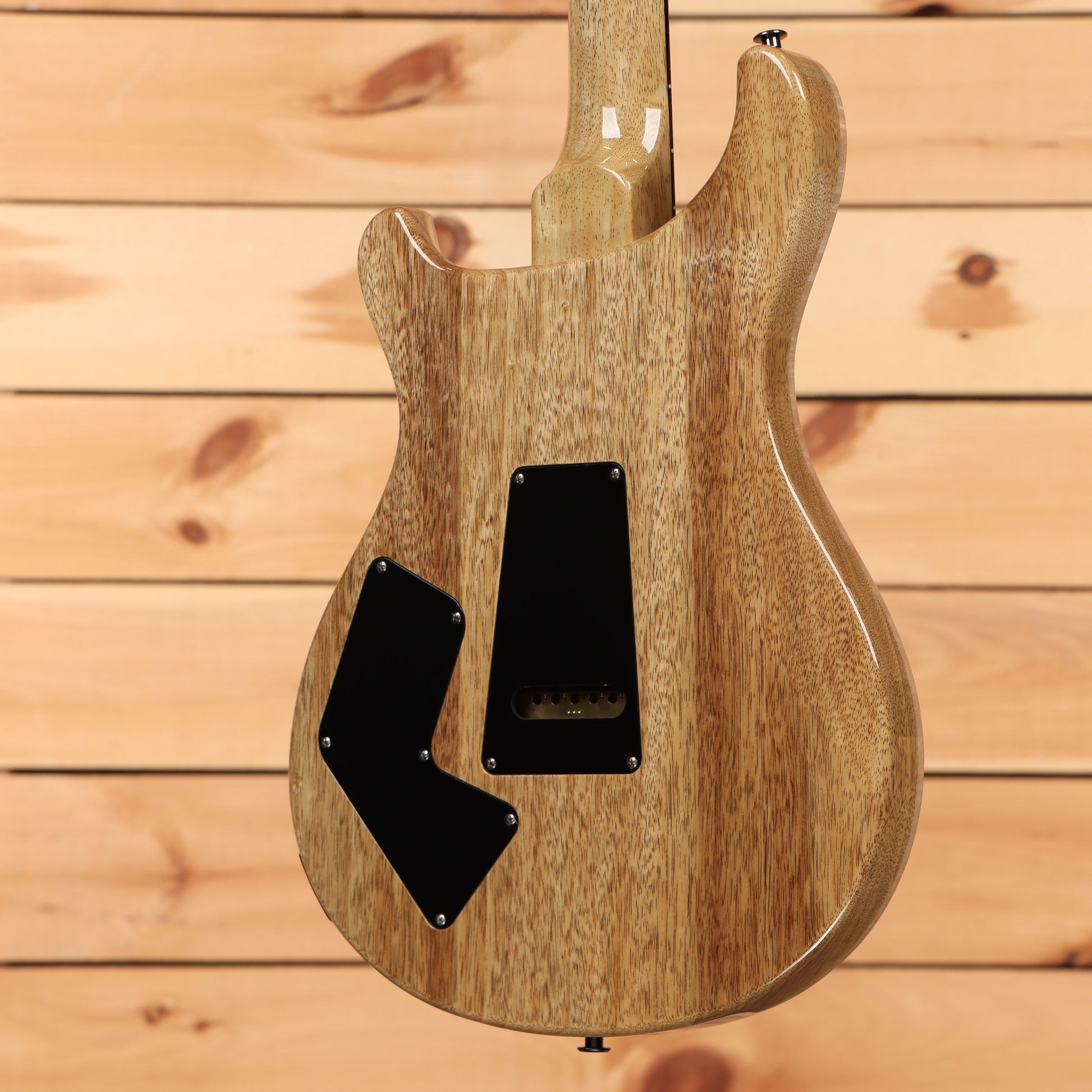 Paul Reed Smith Modern Eagle V Wood Library - Angry Larry