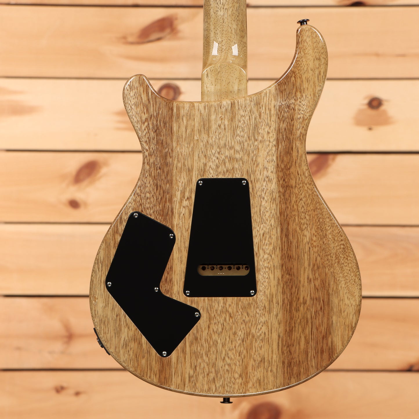 Paul Reed Smith Modern Eagle V Wood Library - Angry Larry