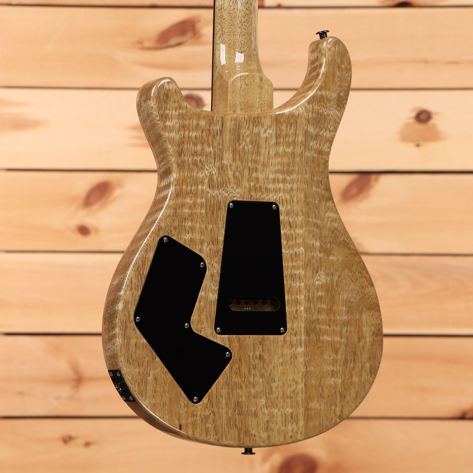 Paul Reed Smith Modern Eagle V Wood Library - Charcoal