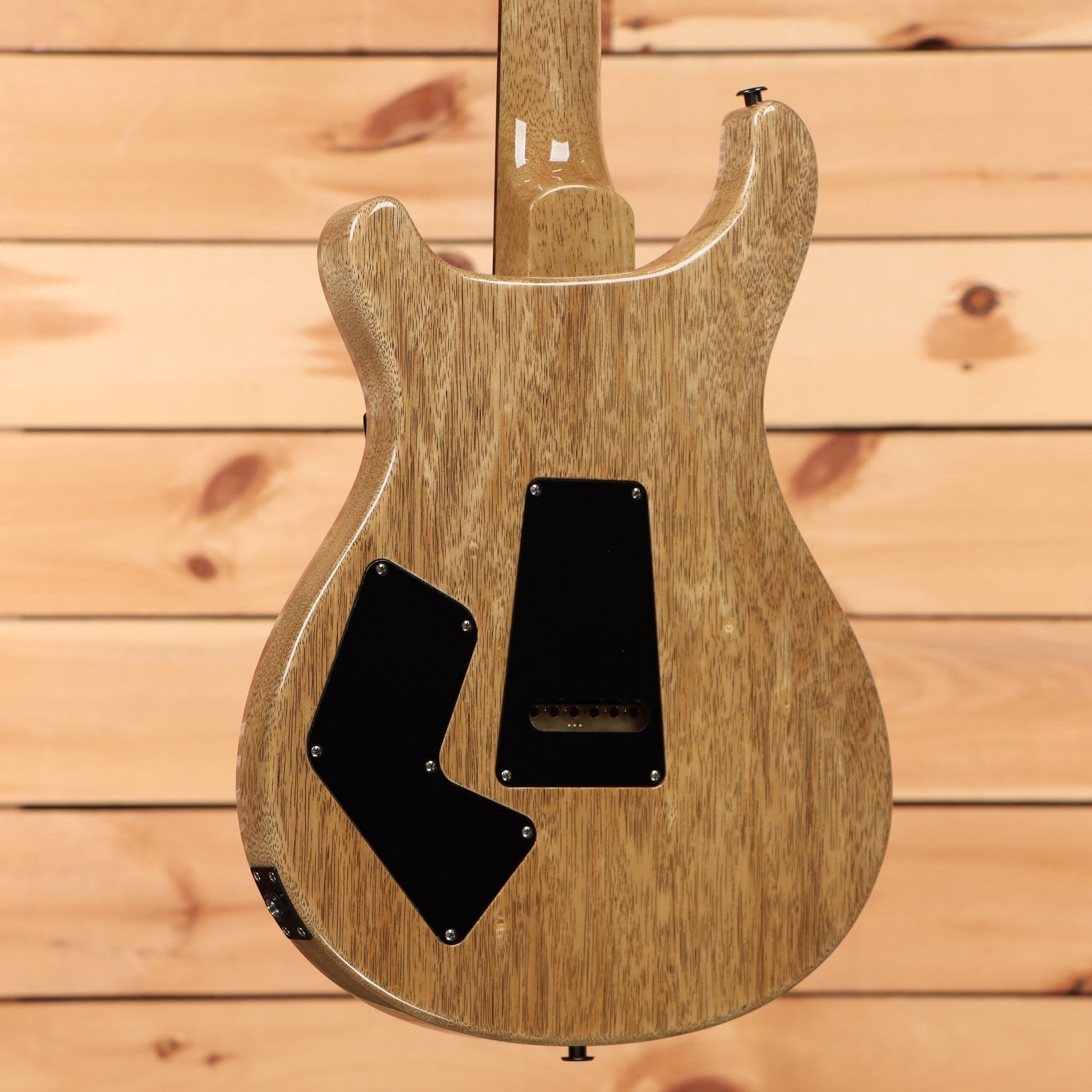 Paul Reed Smith Modern Eagle V Wood Library - River Blue