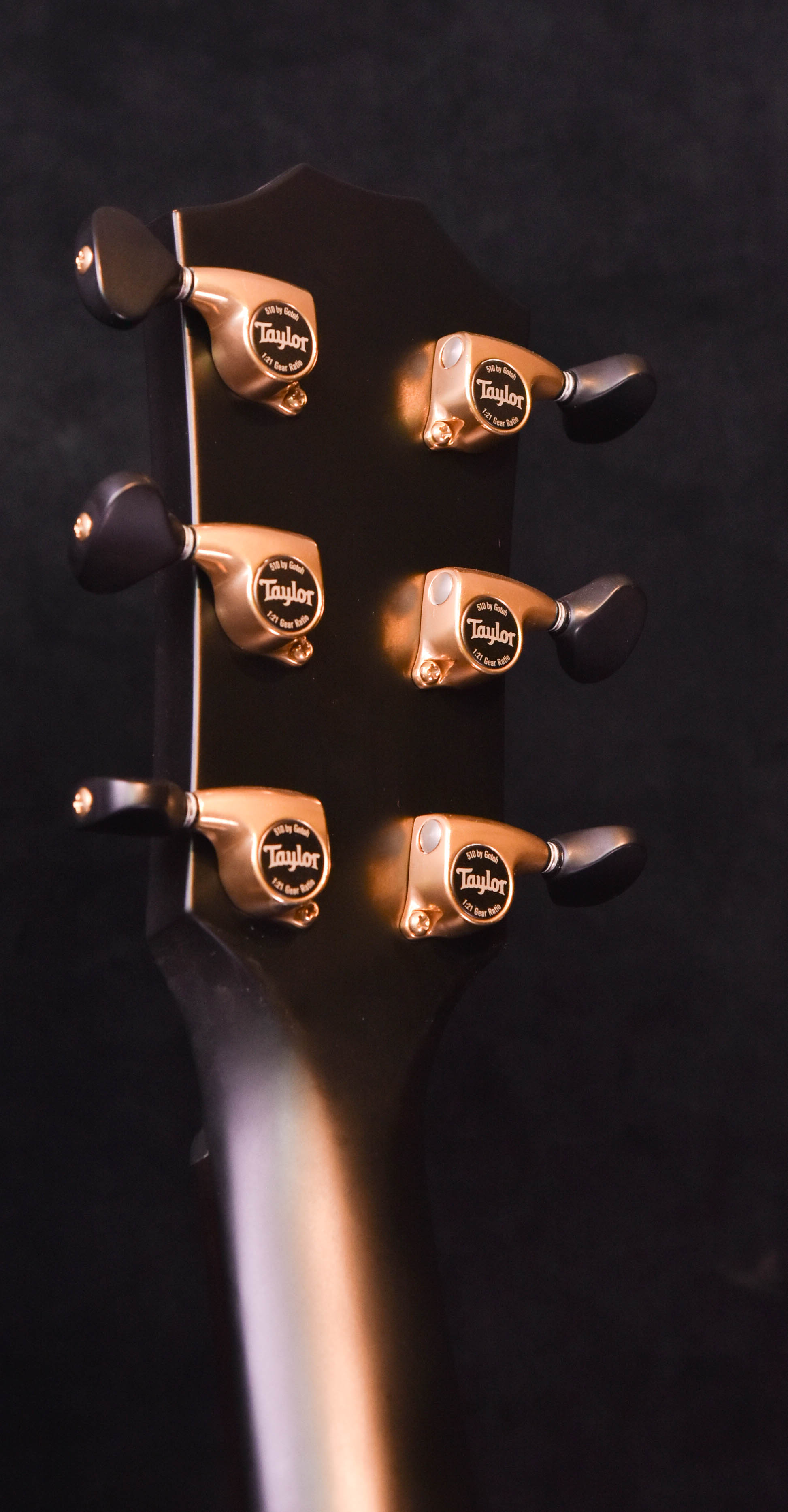Taylor Custom Shop Grand Orchestra Jumbo Sitka Spruce/Mahogany