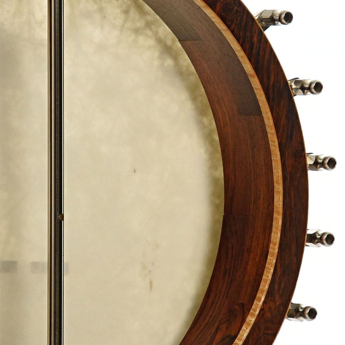 Wildwood Brazilian Custom Dragon Open Back Banjo (2004)