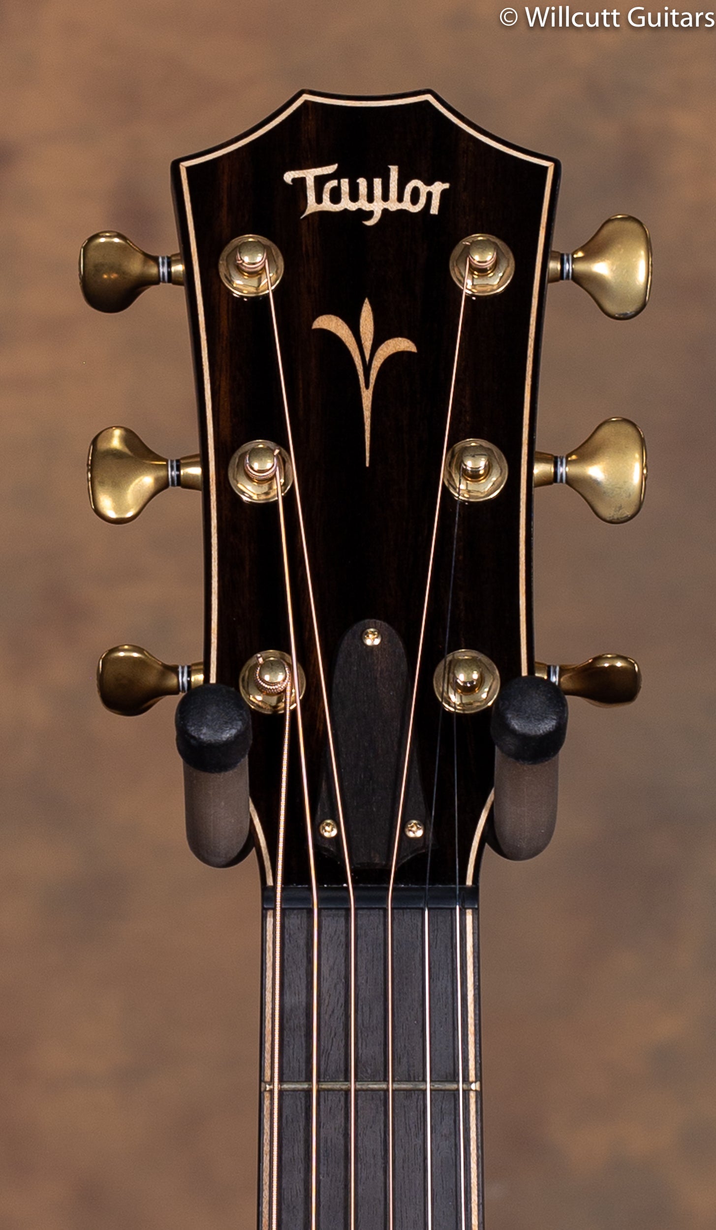 2019 Taylor K24ce V Class USED