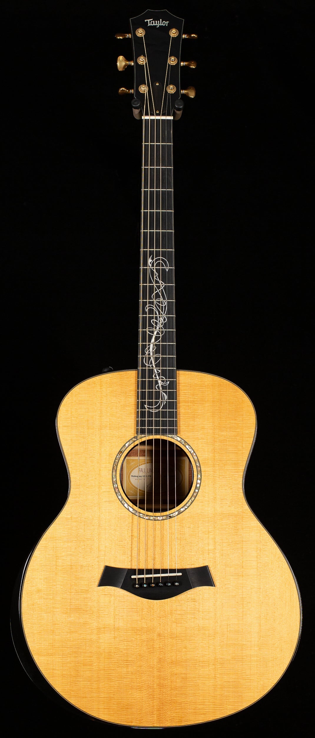 2010 Taylor GSce 2010 Fall Limited (148)