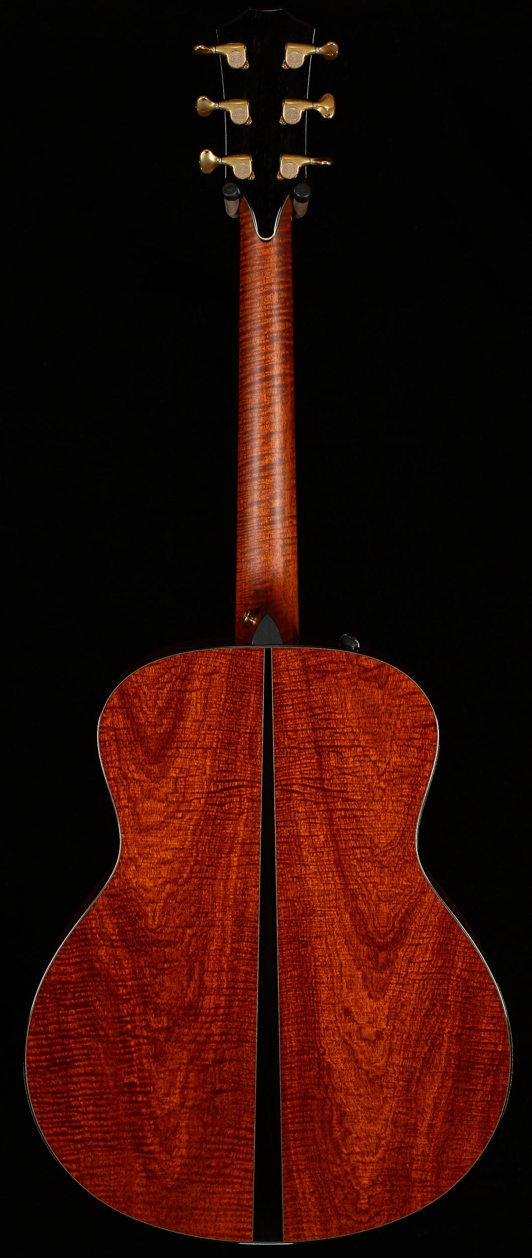 2010 Taylor GSce 2010 Fall Limited (148)