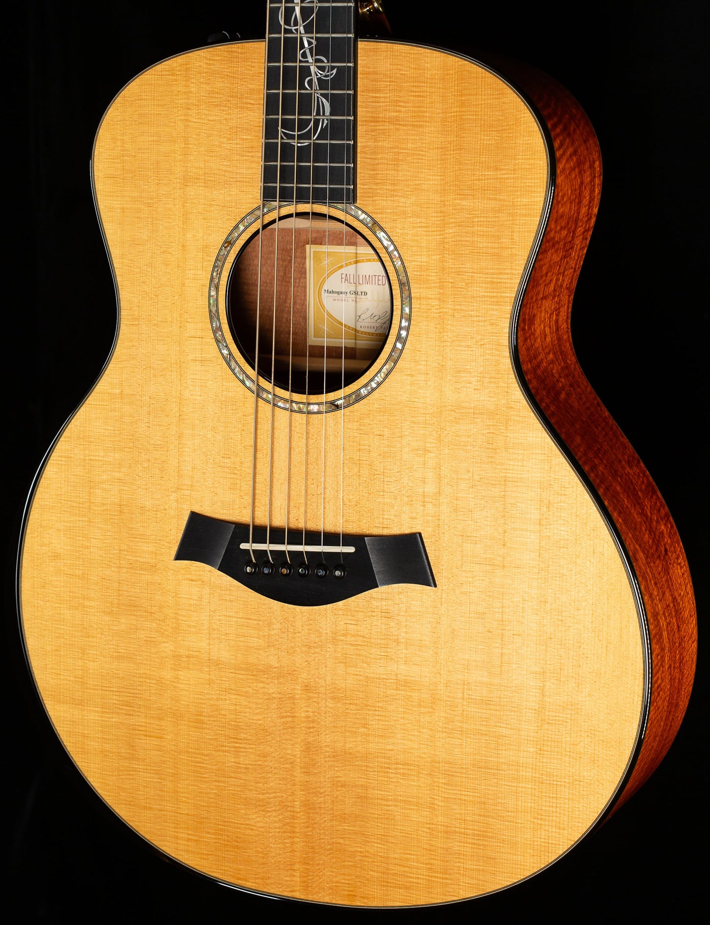 2010 Taylor GSce 2010 Fall Limited (148)