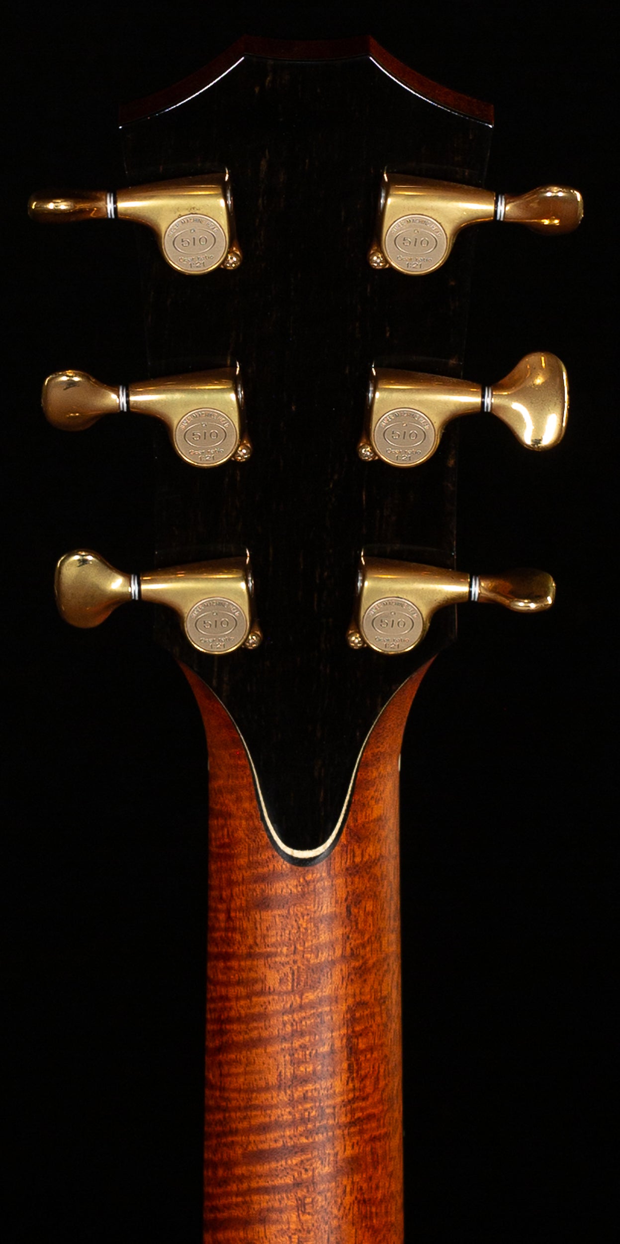2010 Taylor GSce 2010 Fall Limited (148)