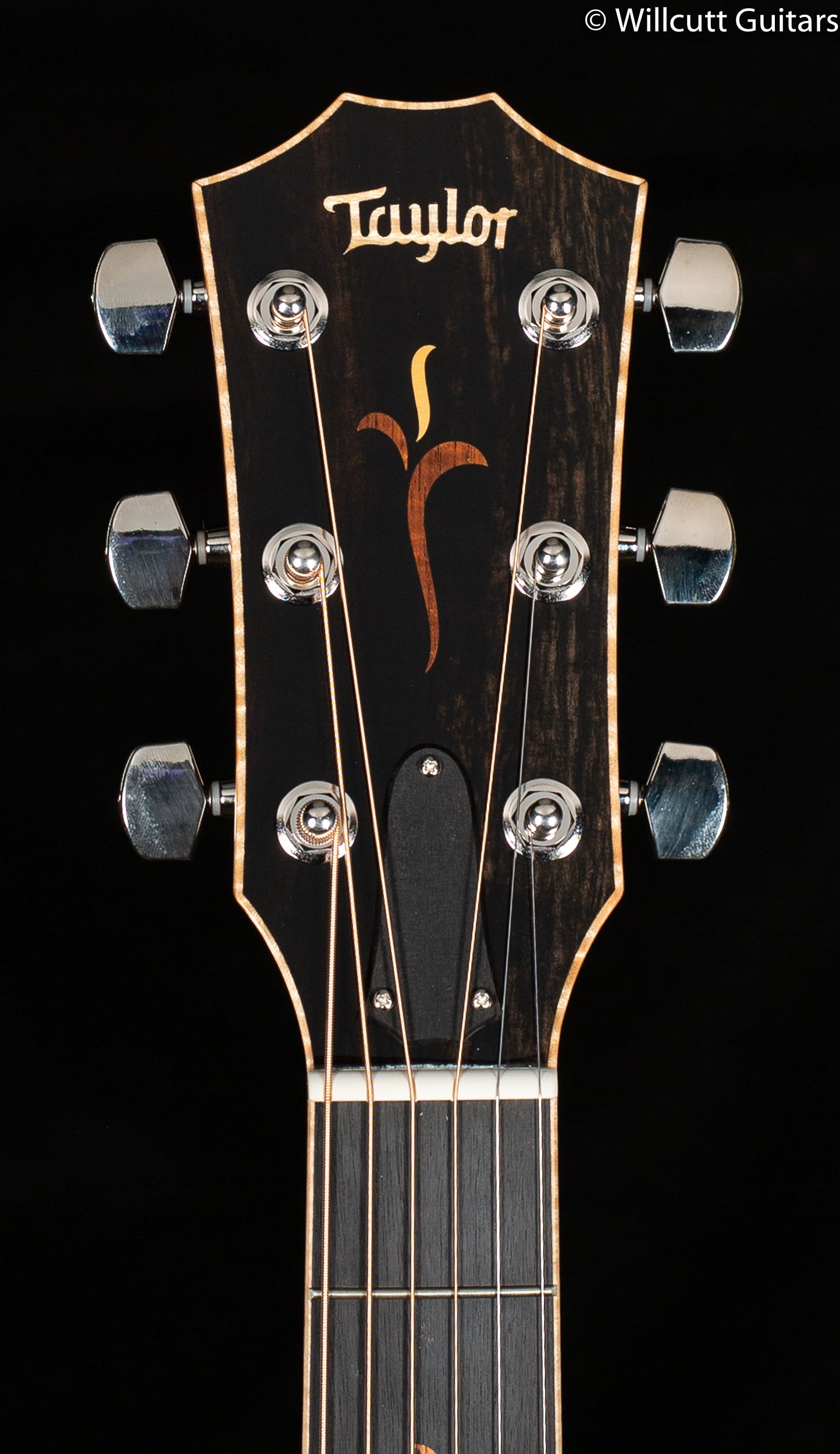 2017 NOS Taylor Grand Auditorium K24ce 12-Fret LTD