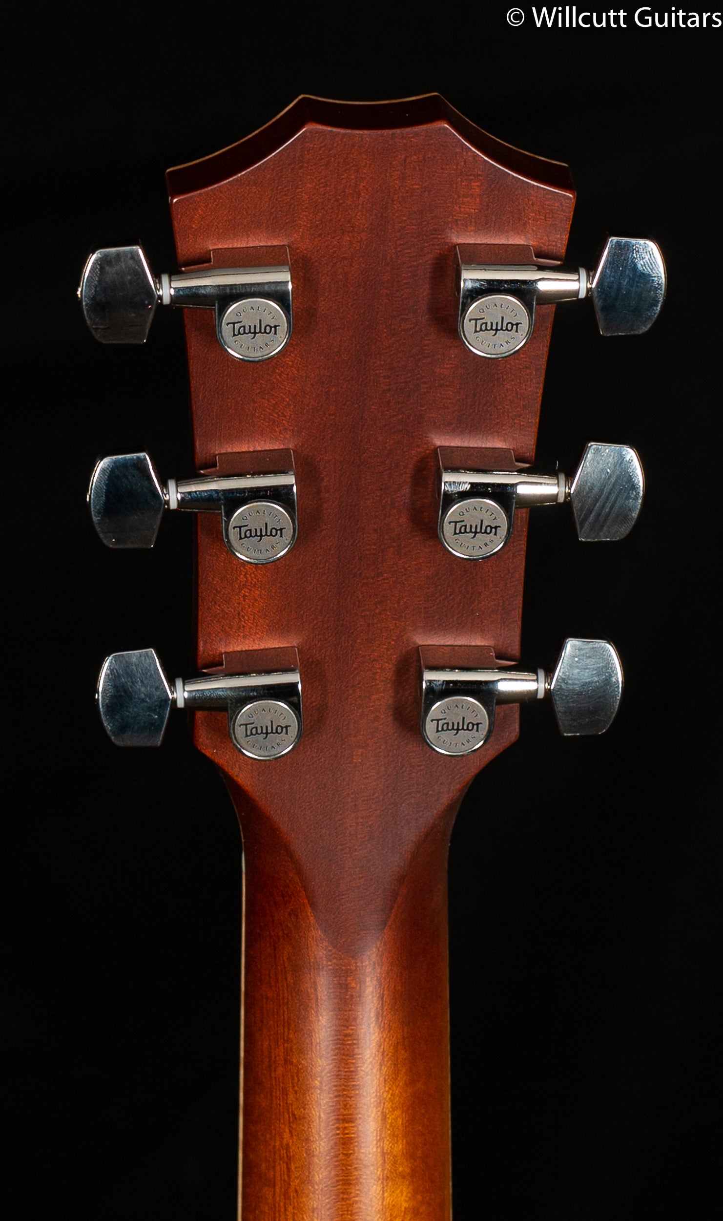 2017 NOS Taylor Grand Auditorium K24ce 12-Fret LTD
