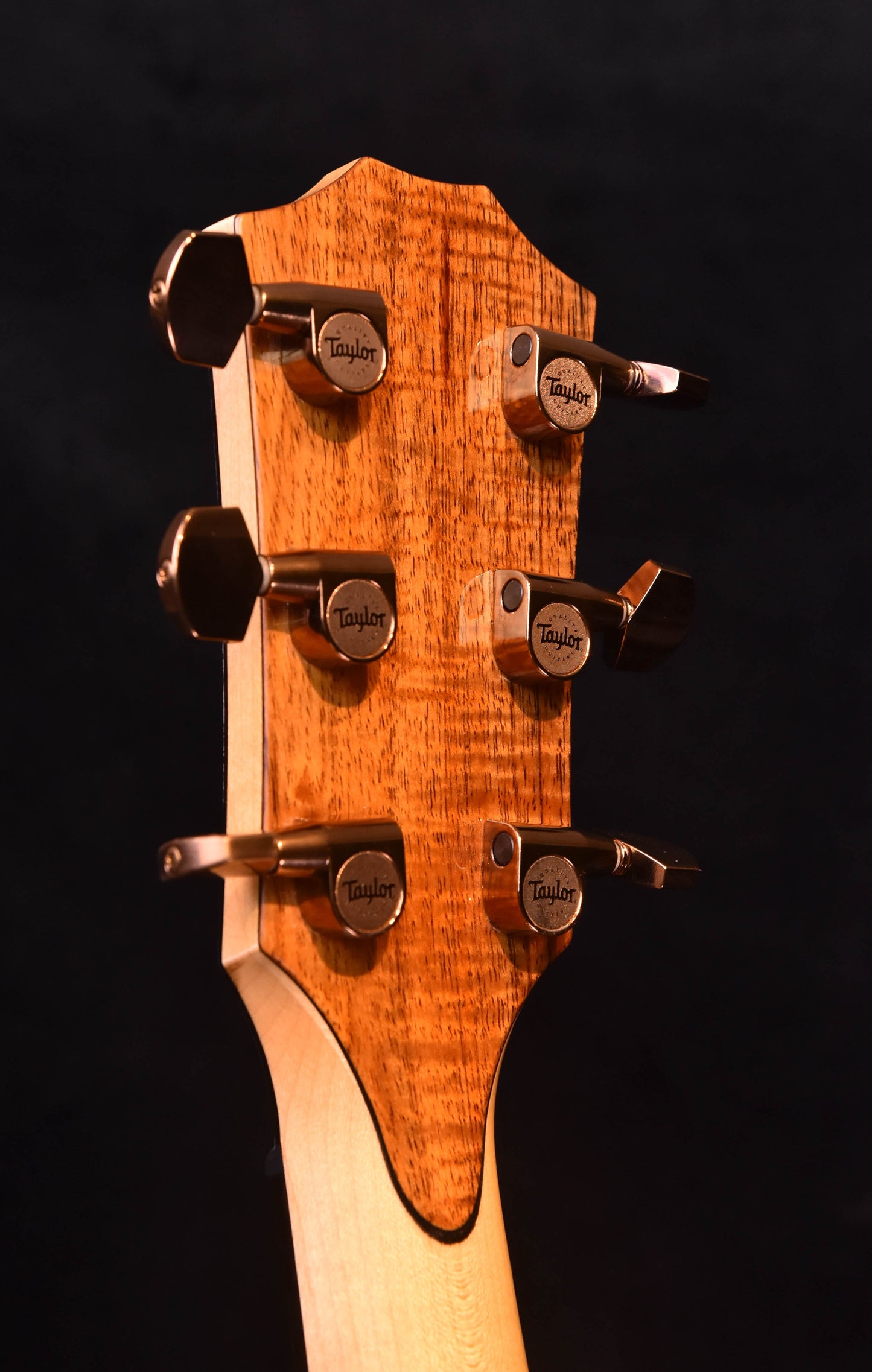 Taylor Custom Grand Auditorium Big leaf Maple/ Bearclaw Sitka Spruce