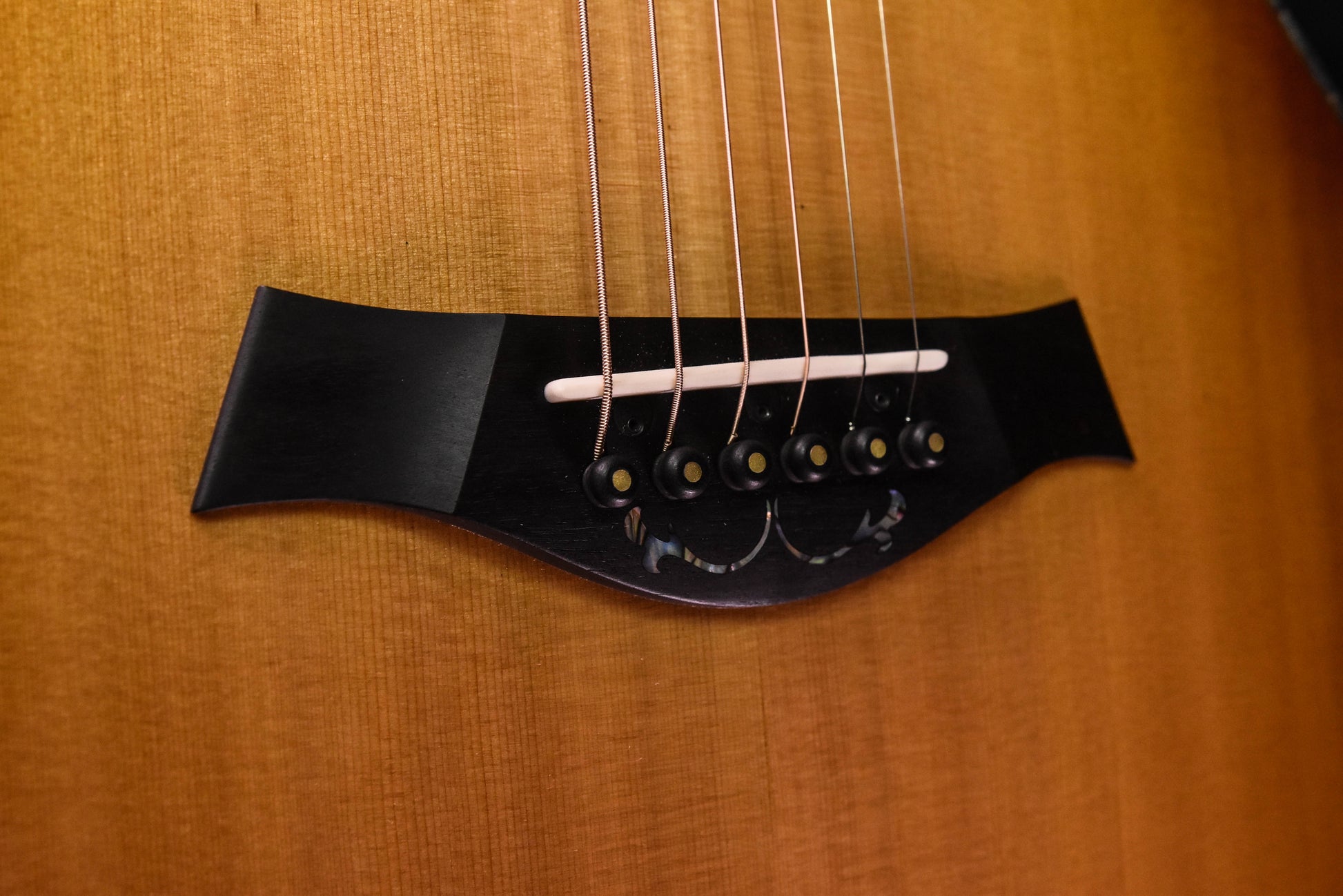 Taylor 50th Anniversary PS14CE LTD Cedar/Walnut Acoustic Guitar with Custom Walnut Circa 74 Amp