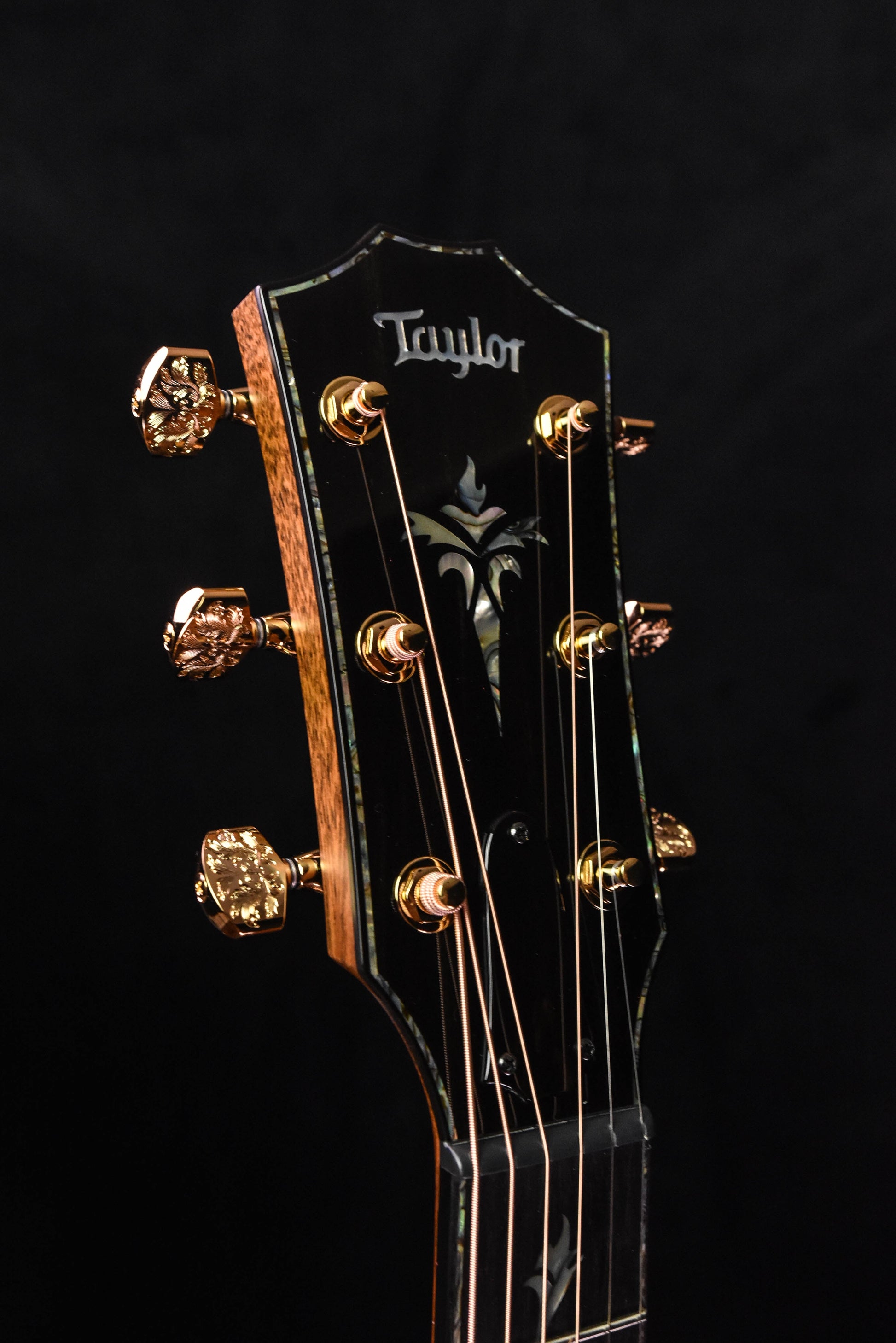 Taylor 50th Anniversary PS14CE LTD Cedar/Walnut Acoustic Guitar with Custom Walnut Circa 74 Amp