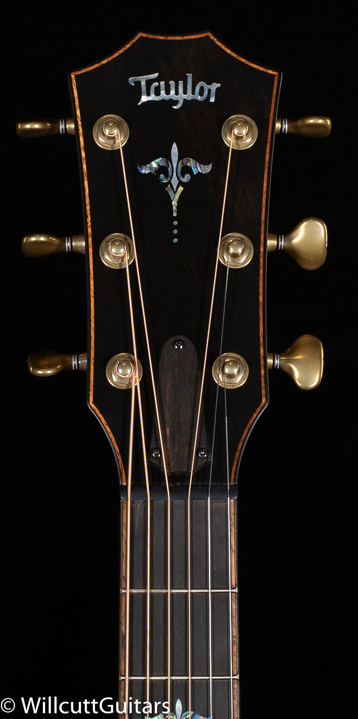 Taylor Builder's Edition 912ce Grand Concert Wild Honey Burst (059)