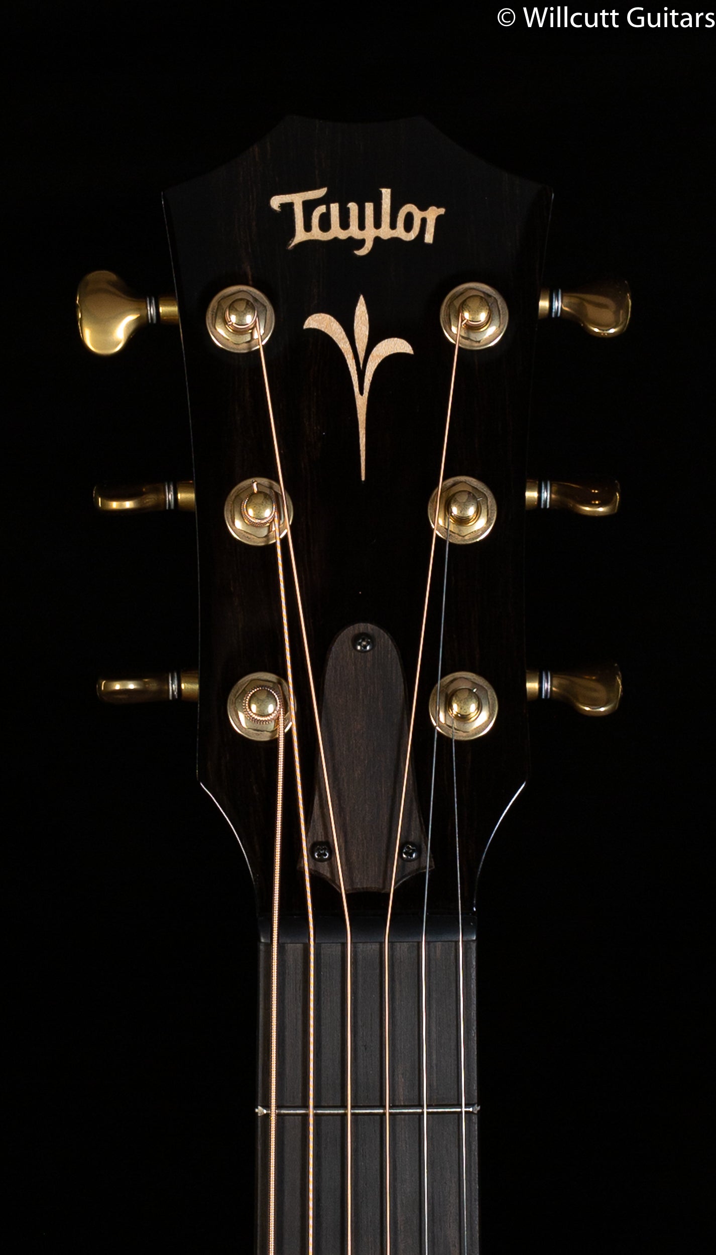 Taylor GT K21e Koa