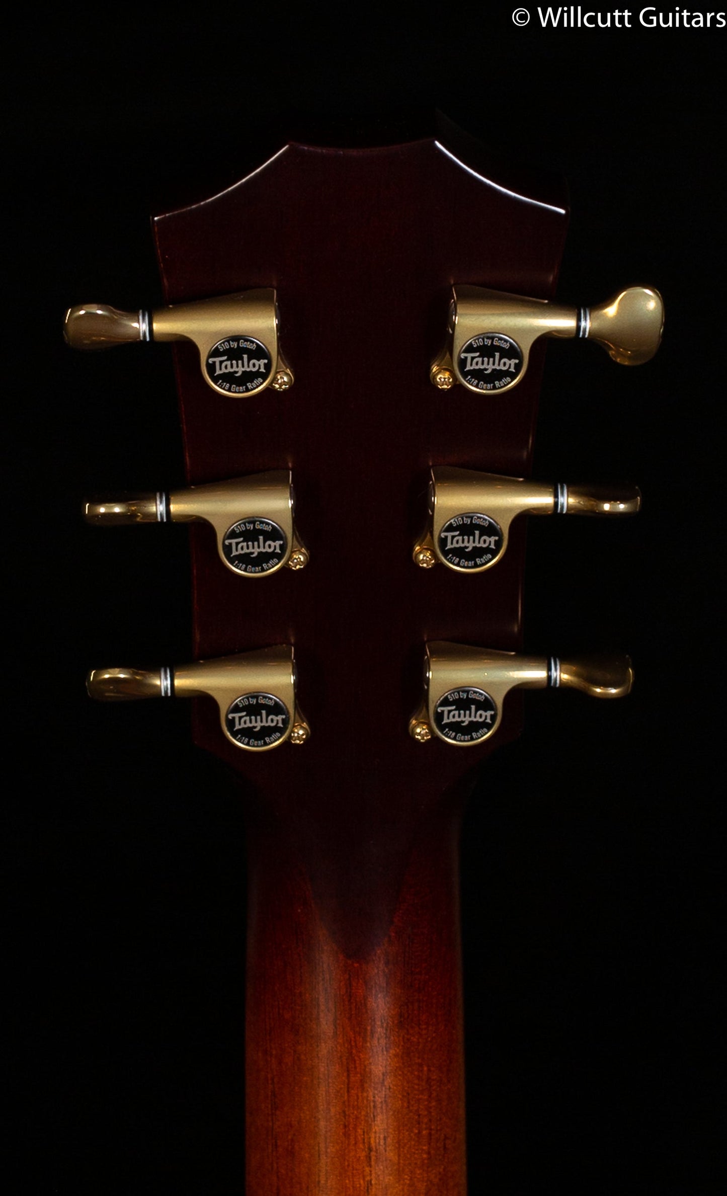 Taylor GT K21e Koa
