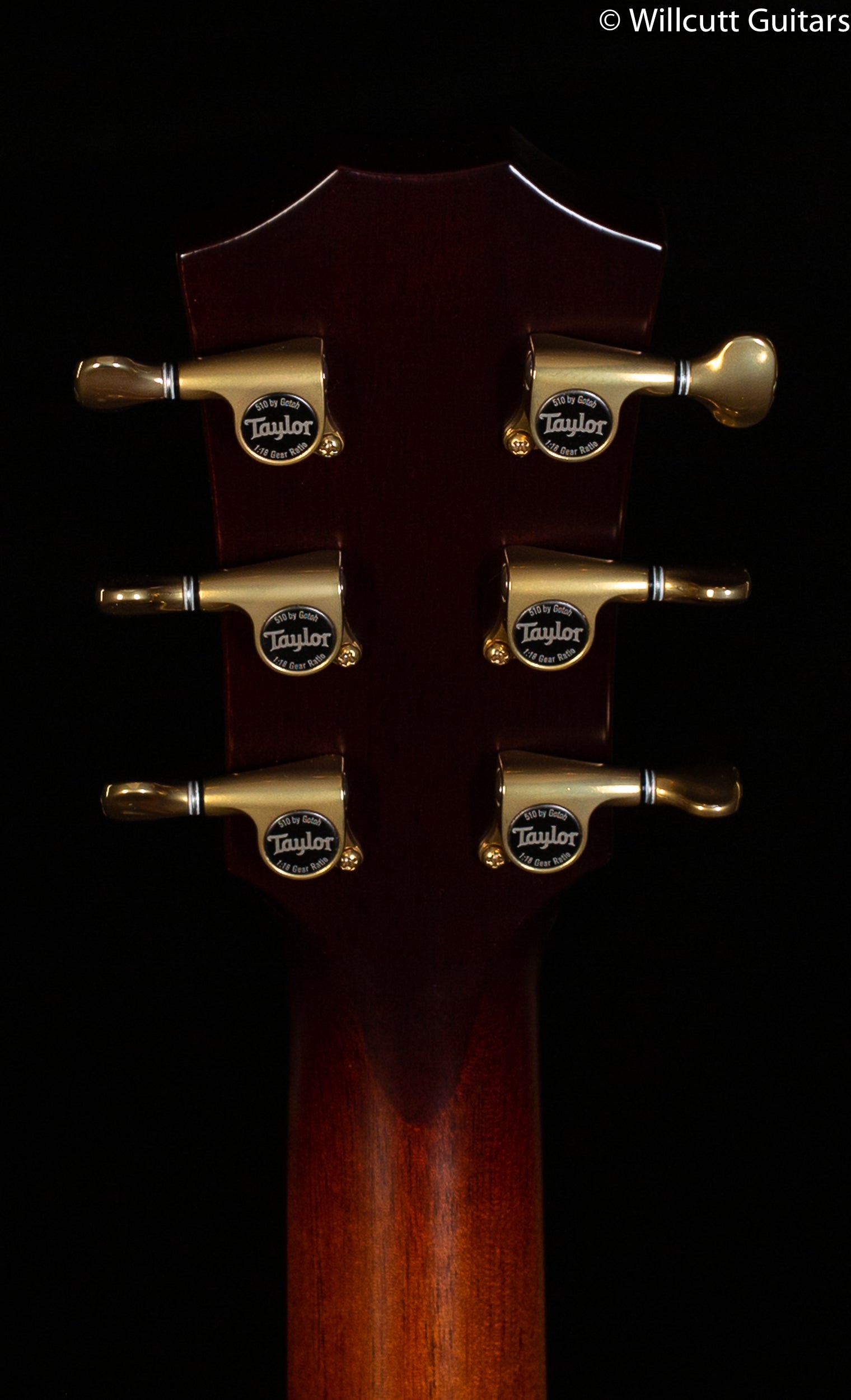 Taylor GT K21e Koa