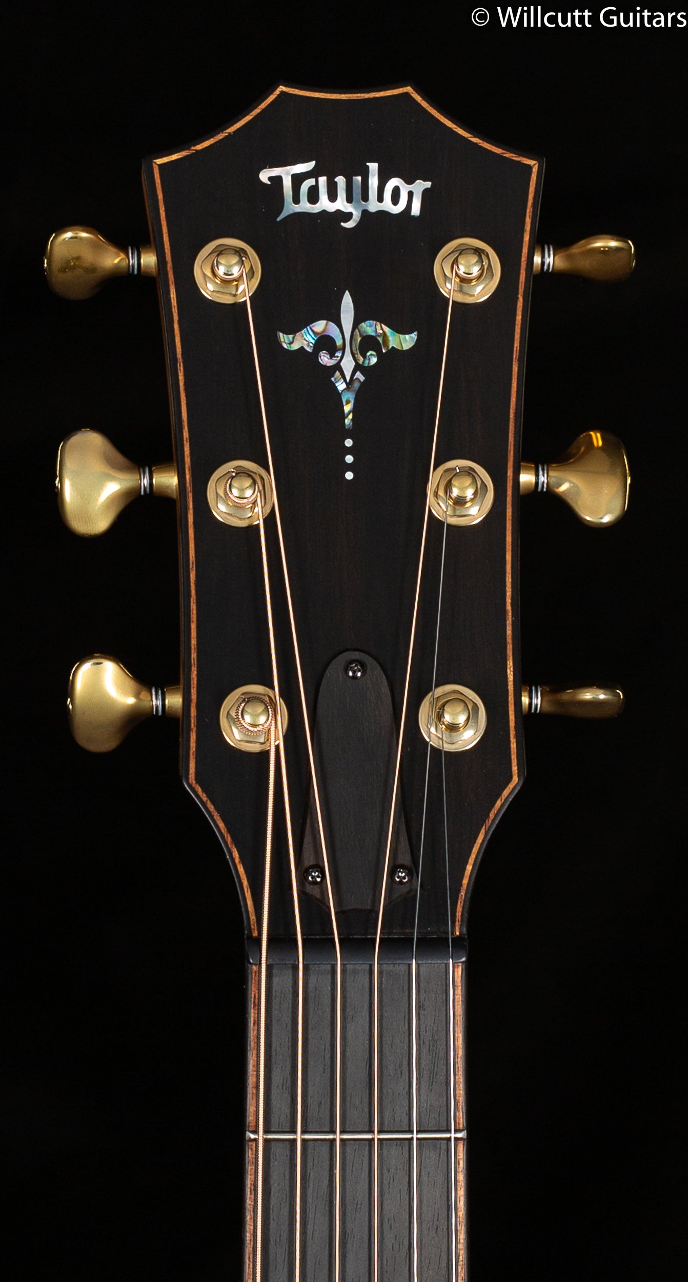 Taylor Builder's Edition 912ce,WHB Top ,V-Class(R)Bracing