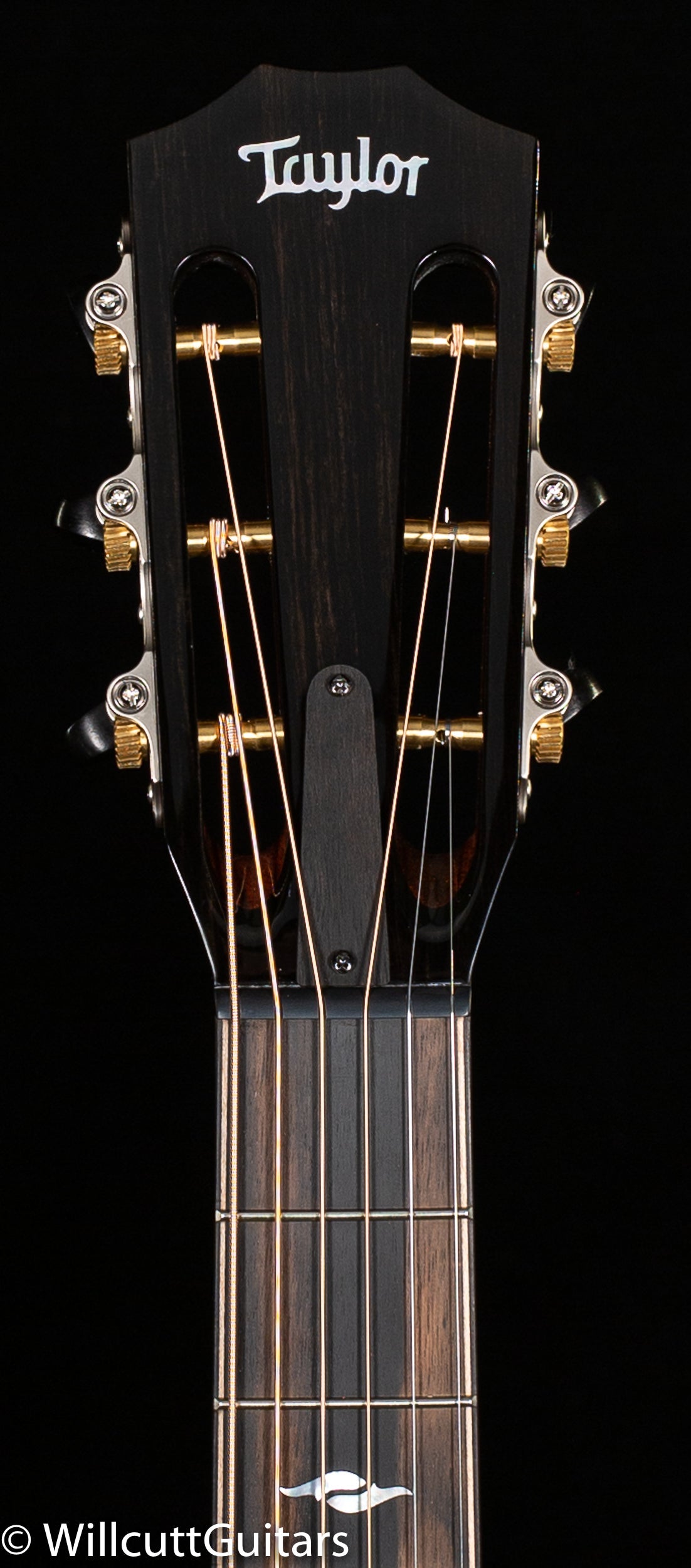 Taylor 812ce 12-Fret Sitka/Rosewood (128)