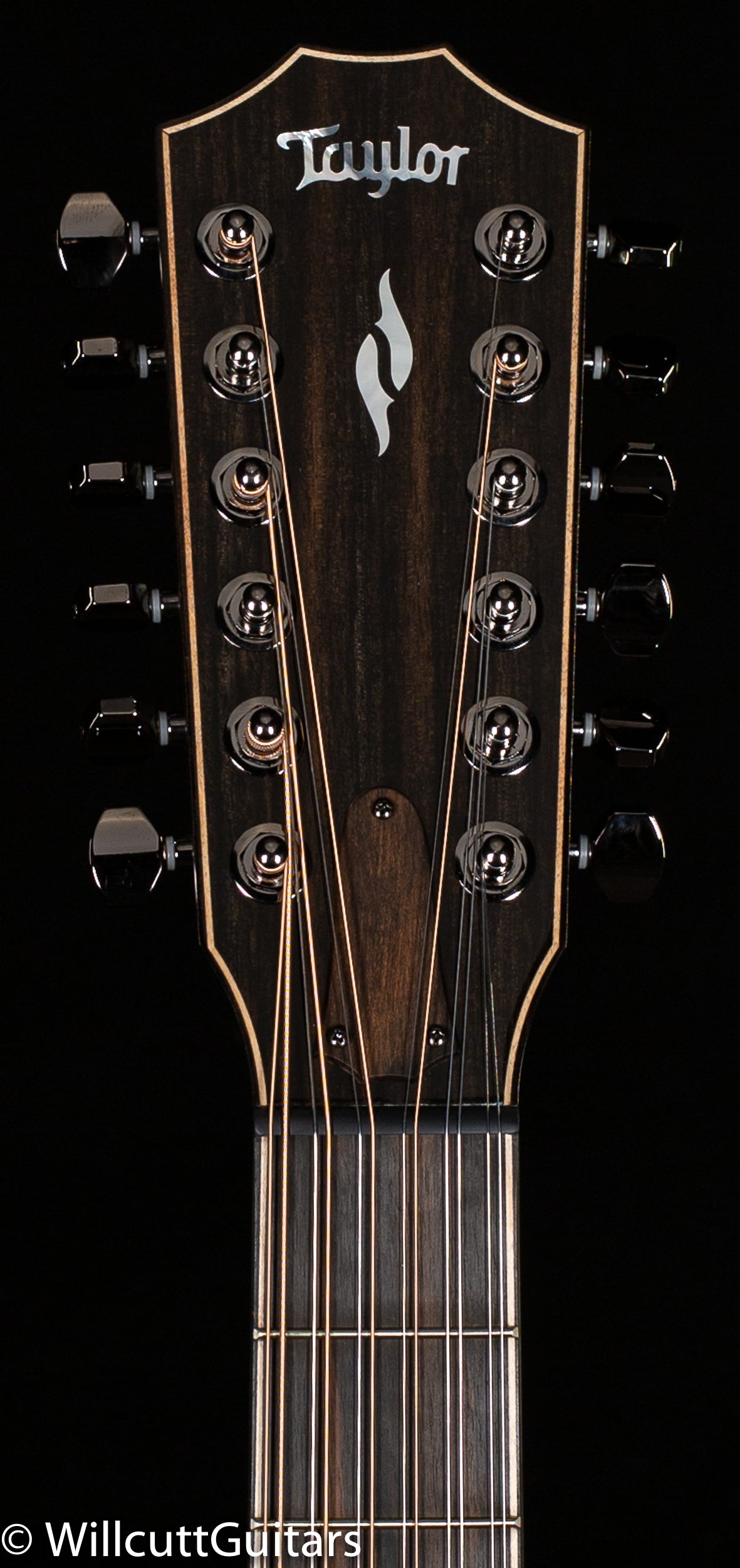 Taylor 858e LTD,Rosewood/Sitka,V-Class(R)Bracing Radius Armrest (111)