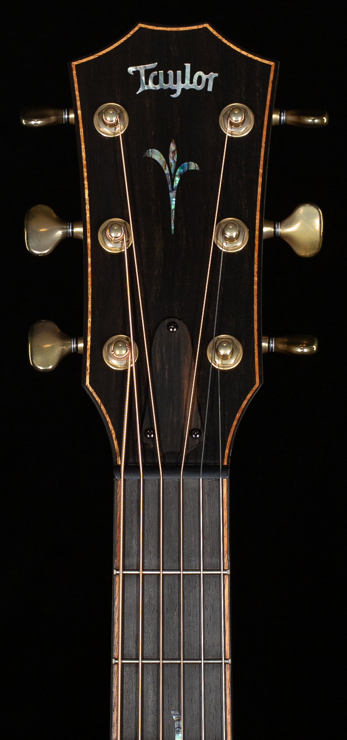 2024 Taylor Builder's Edition K24ce (079)