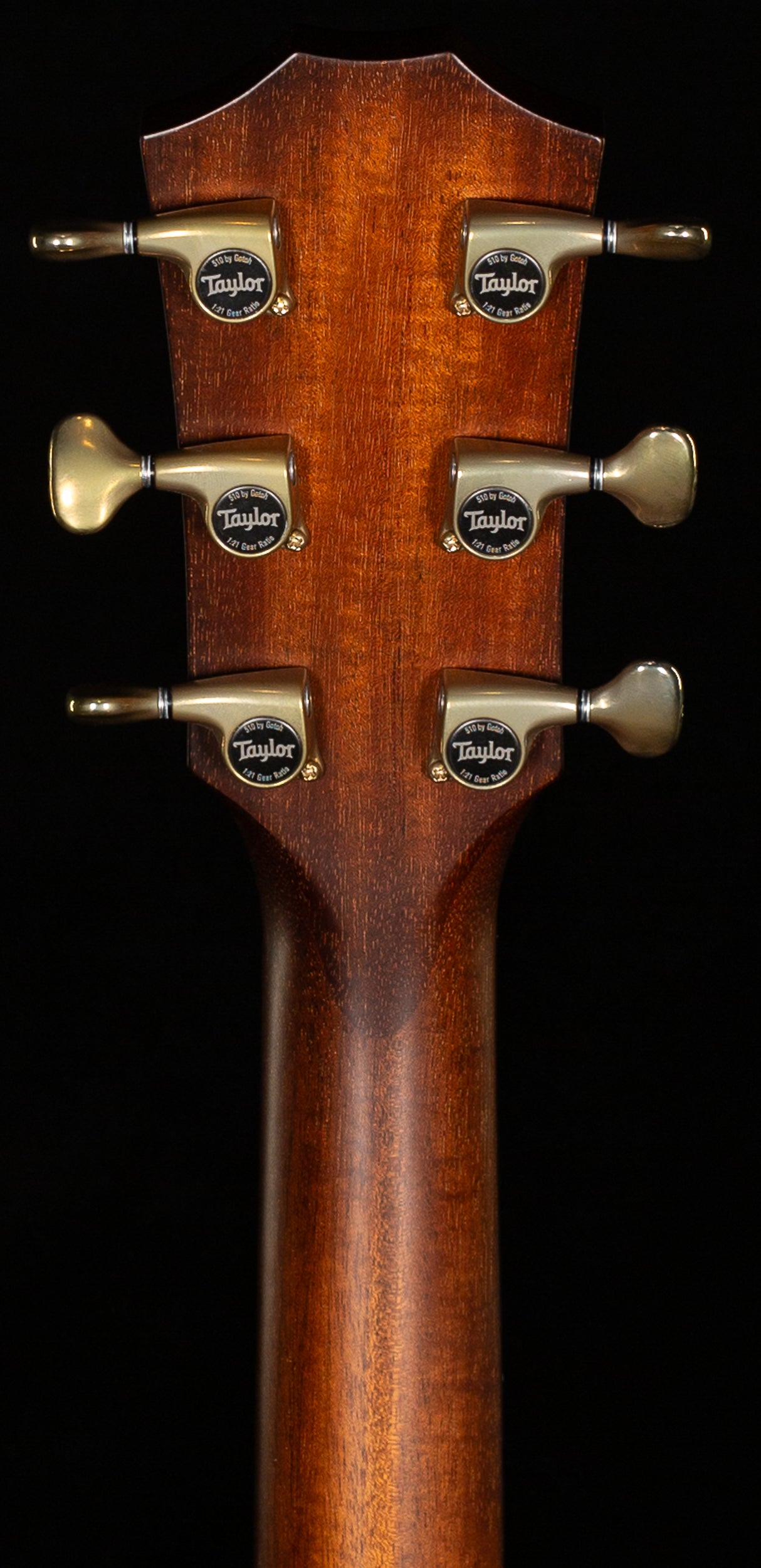 2024 Taylor Builder's Edition K24ce (079)